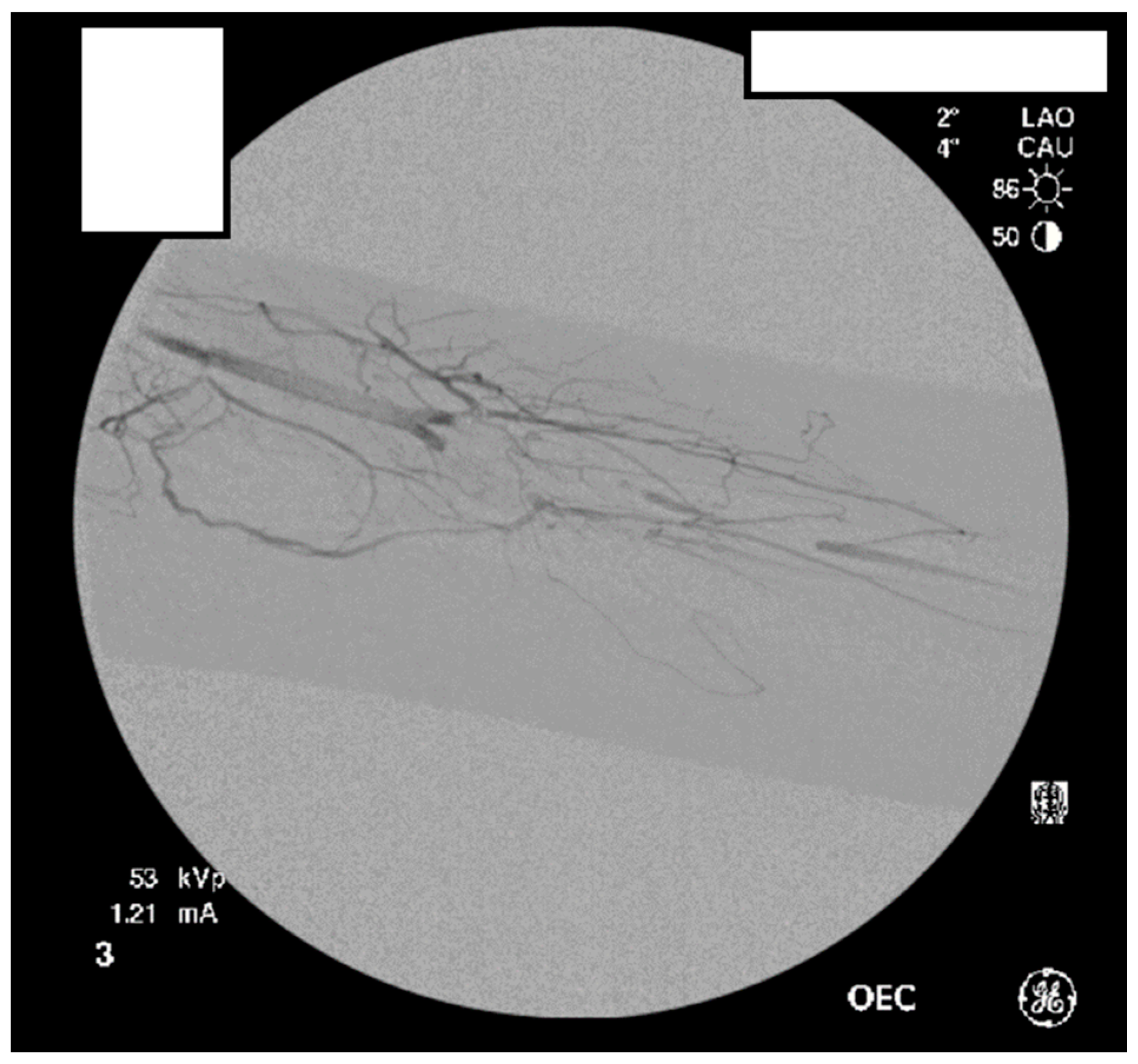 Diagnostics 07 00034 g011 550