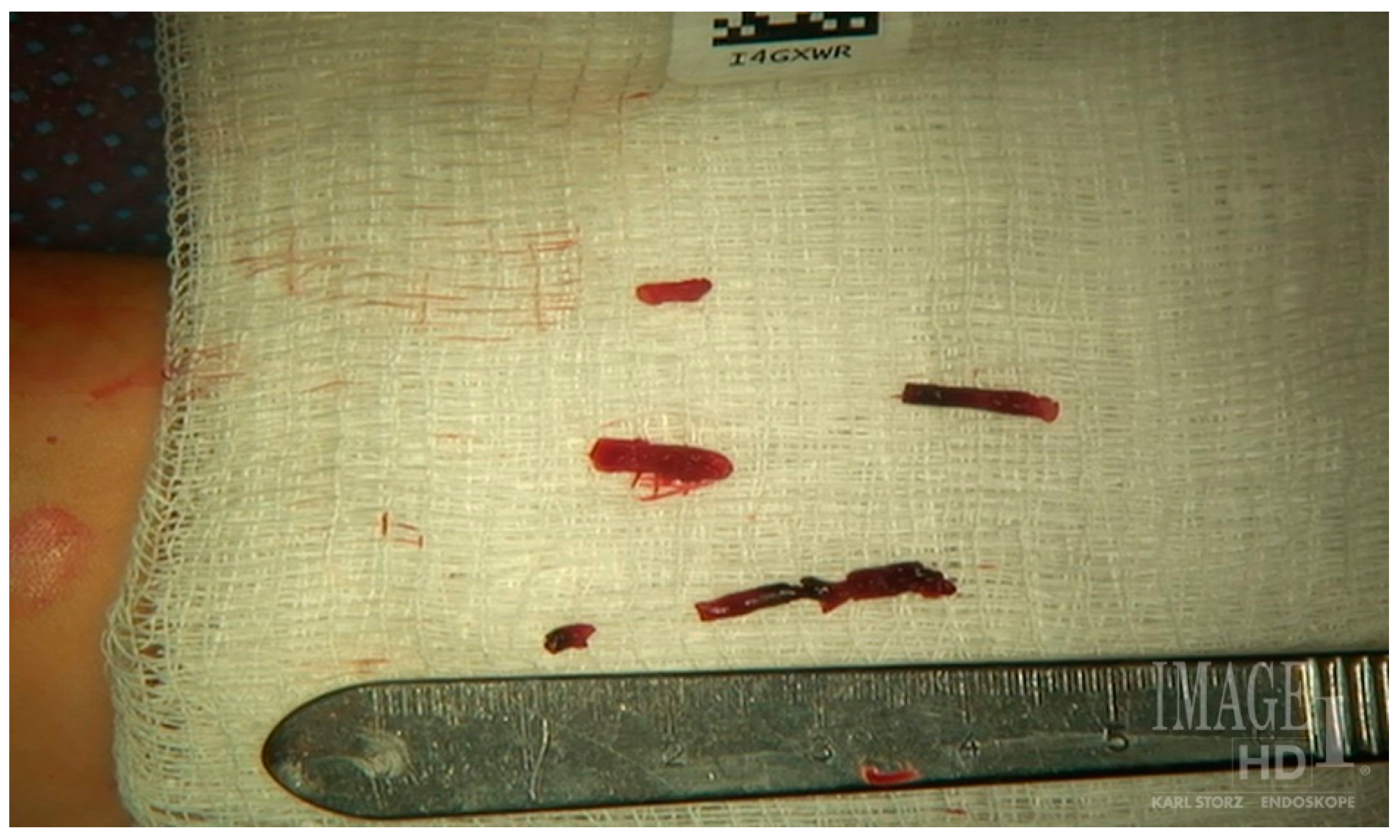 Diagnostics 07 00034 g012 550