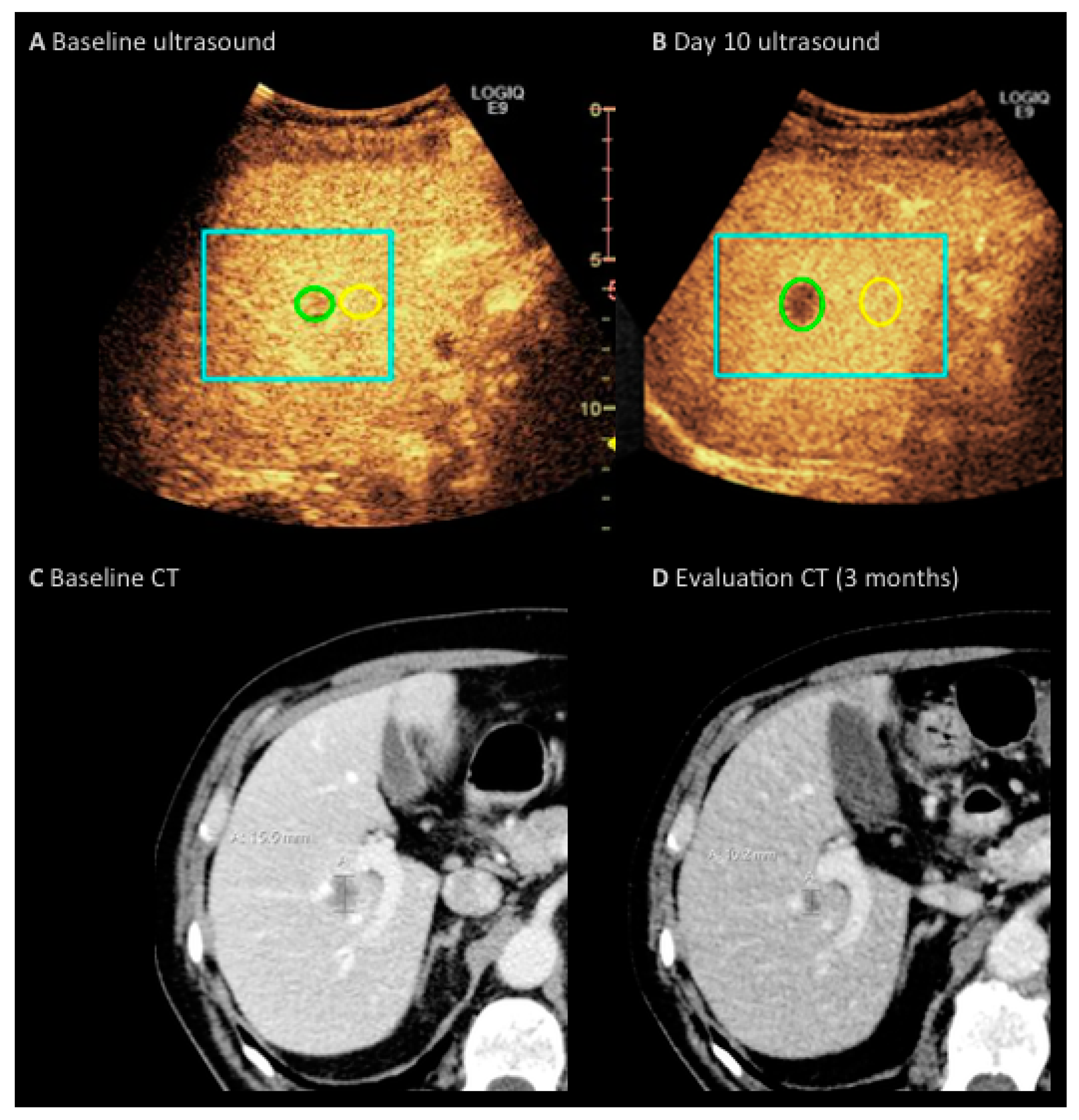 Diagnostics 07 00035 g003 550