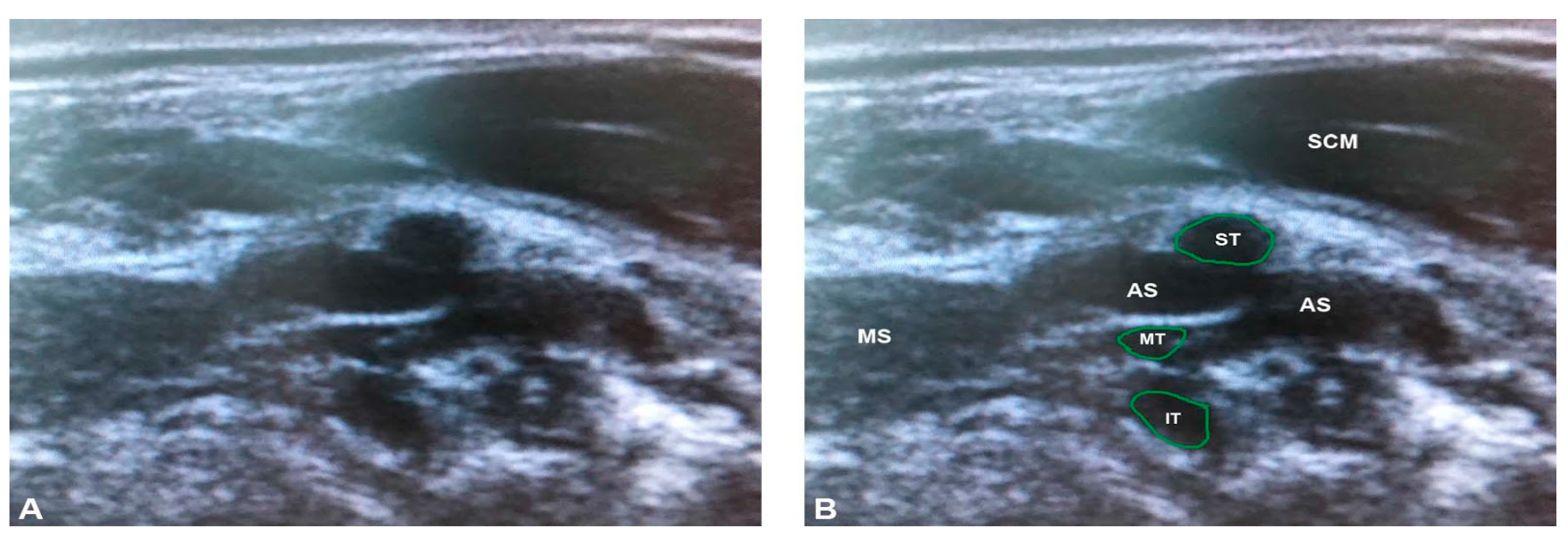Diagnostics 07 00040 g007