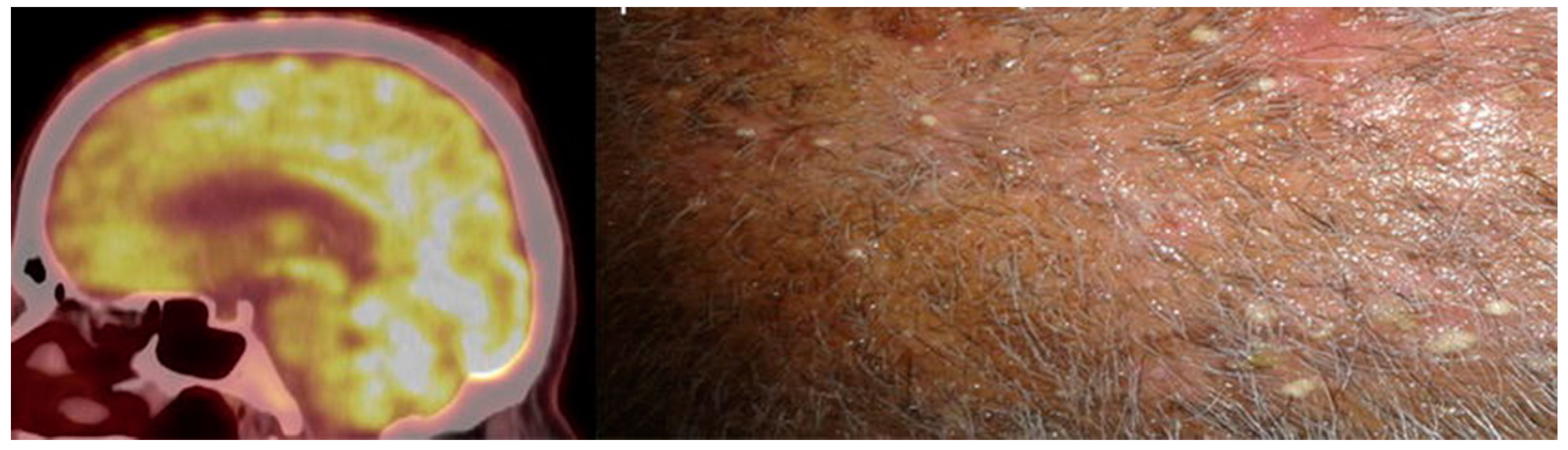 Diagnostics 07 00043 g004