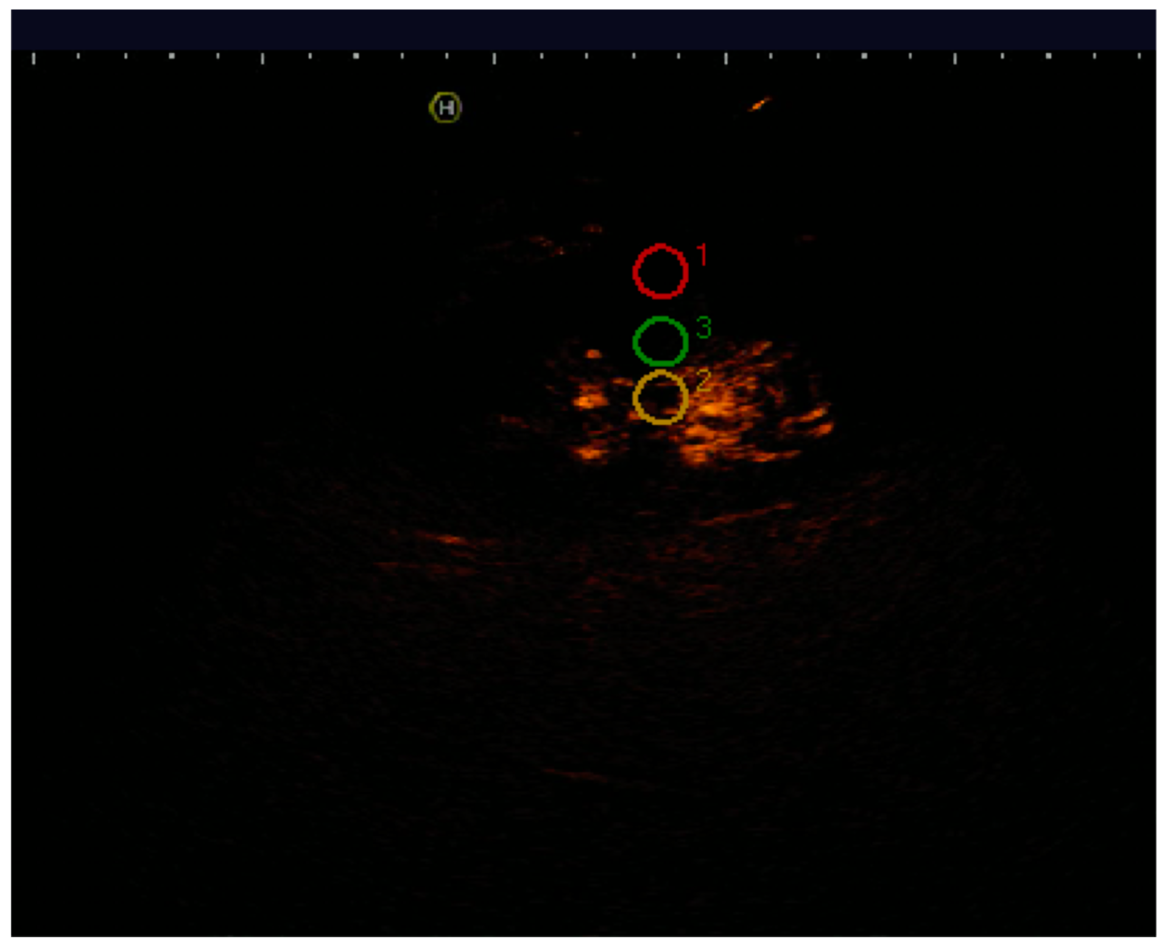 Diagnostics 07 00053 g001 Diagnostics 07 00053 g001