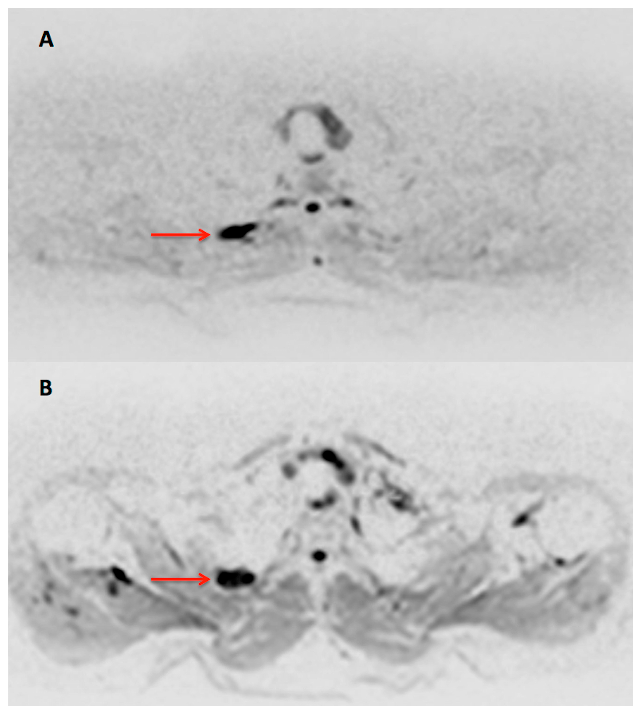 Diagnostics 07 00061 g003 550
