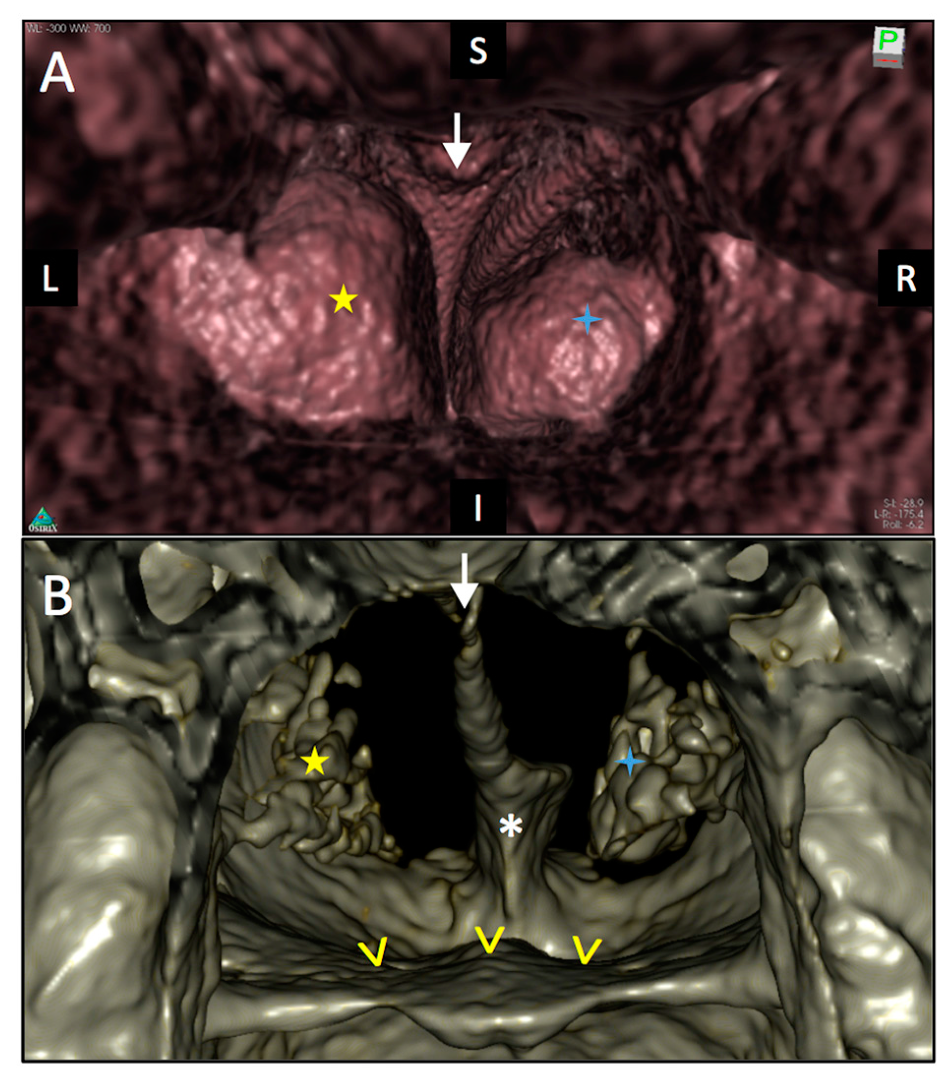 Diagnostics 08 00015 g003 550