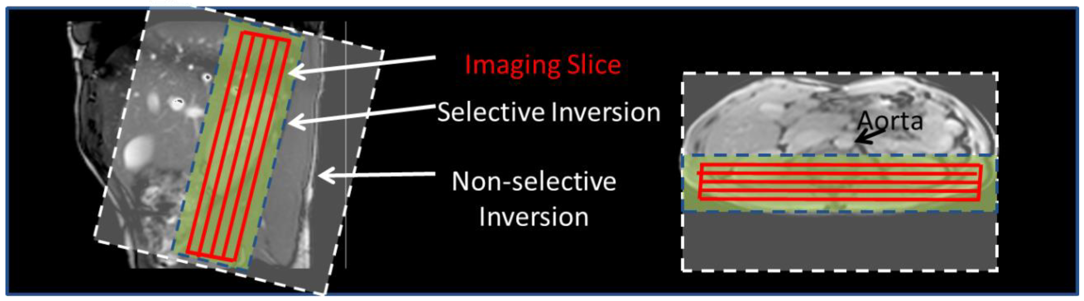 Diagnostics 08 00043 g001