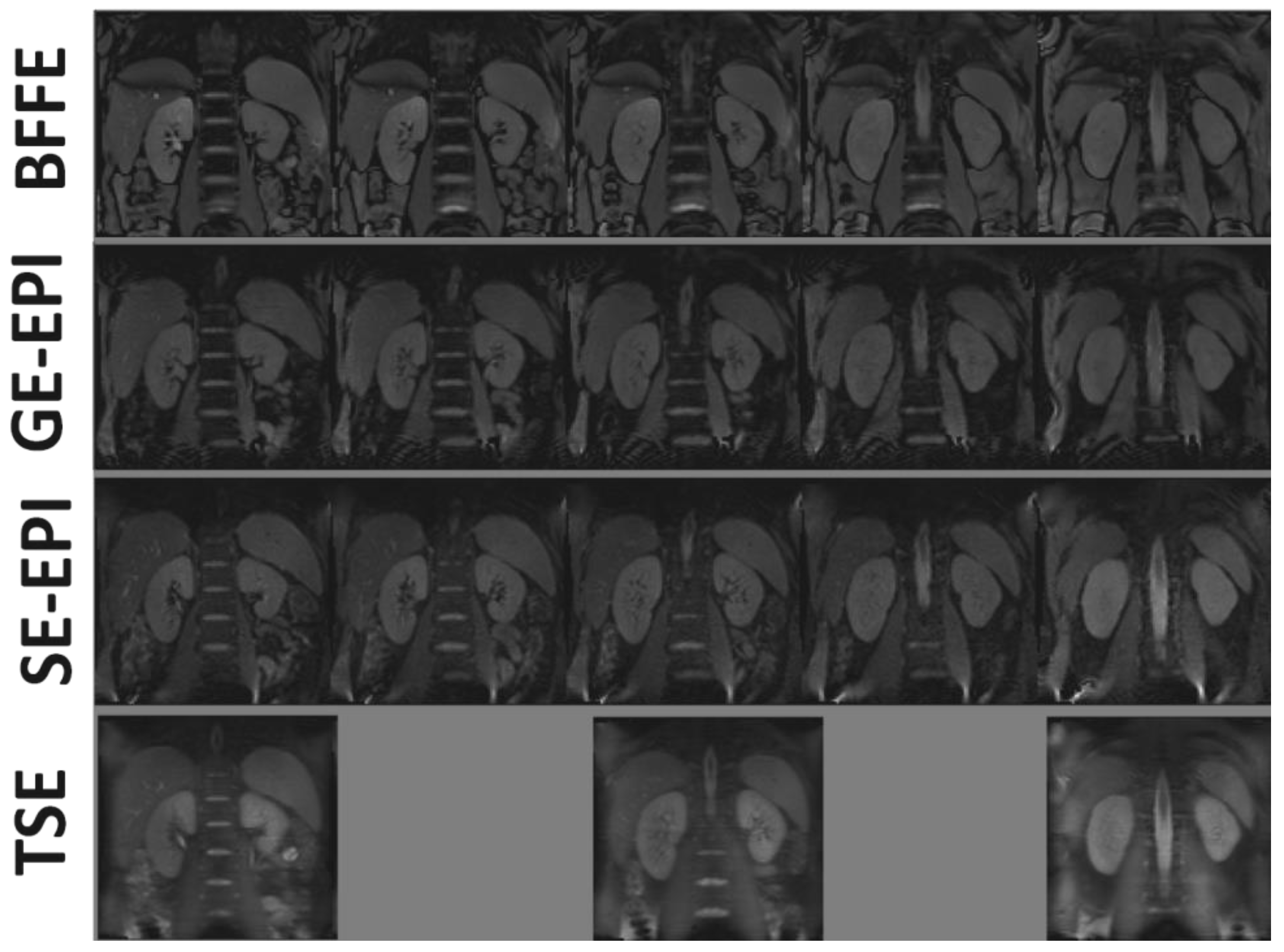 Diagnostics 08 00043 g002