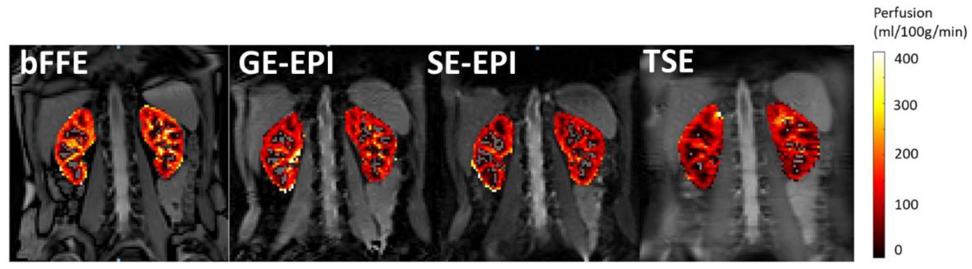 Diagnostics 08 00043 g004