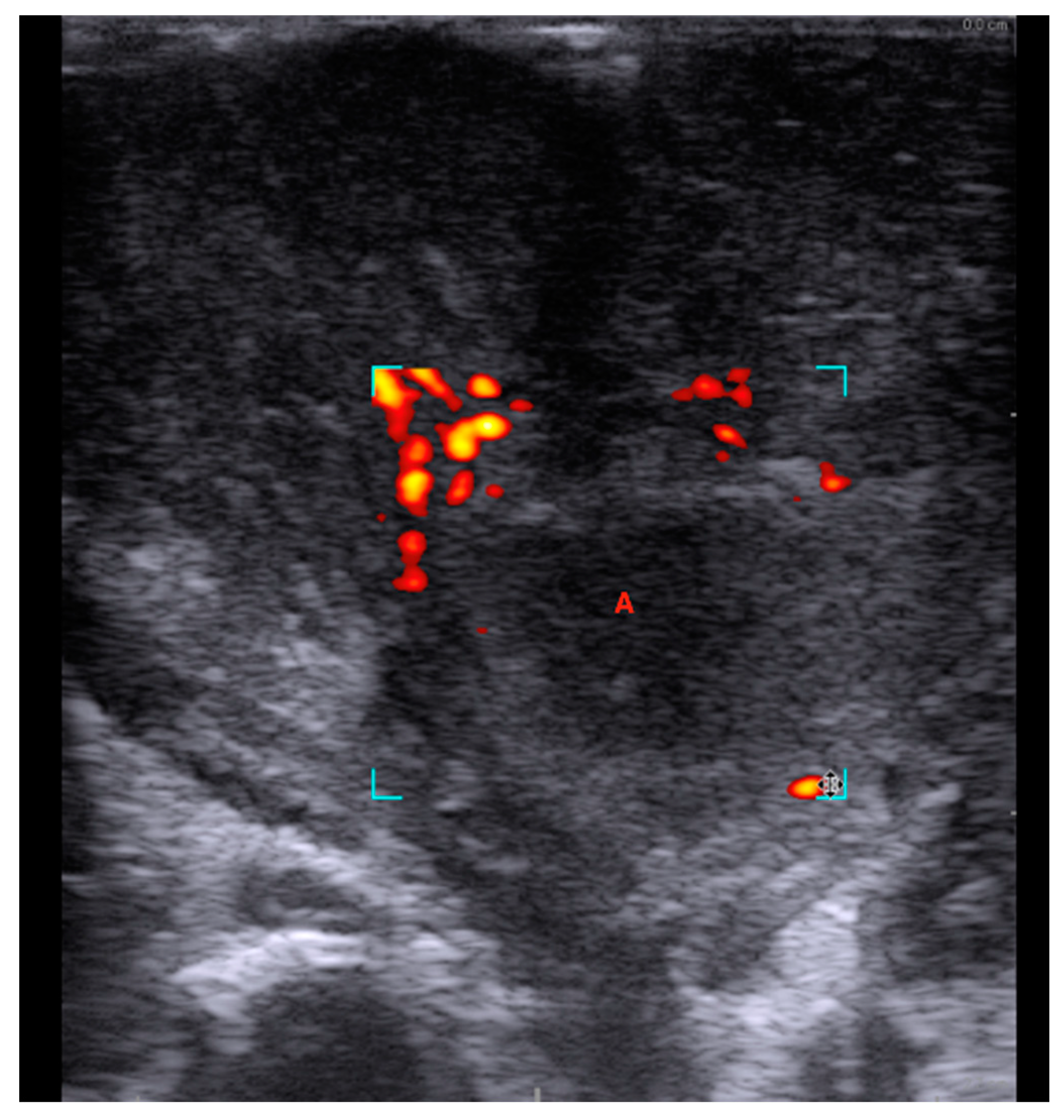 Diagnostics 08 00050 g003