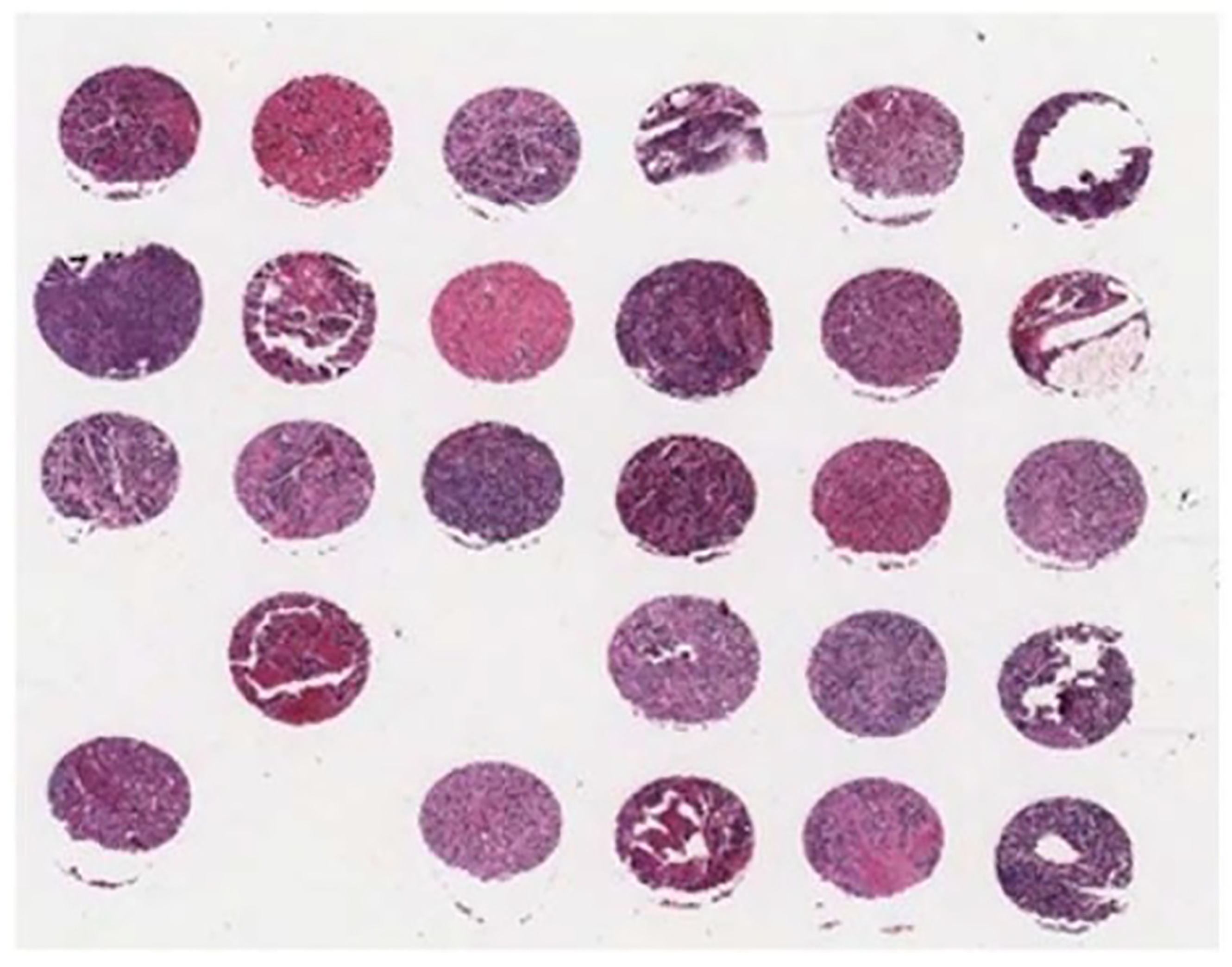 Diagnostics 08 00056 g002