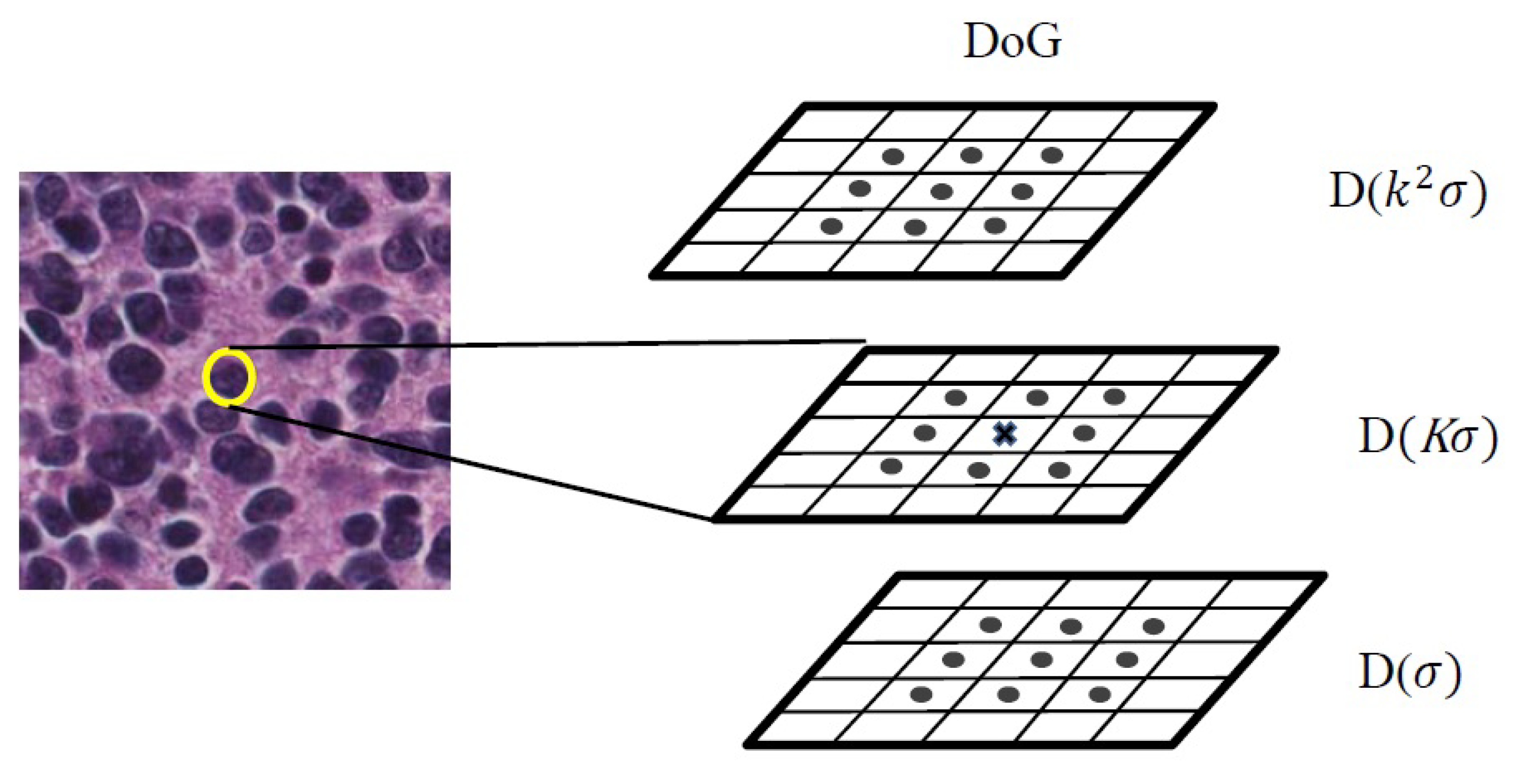 Diagnostics 08 00056 g006