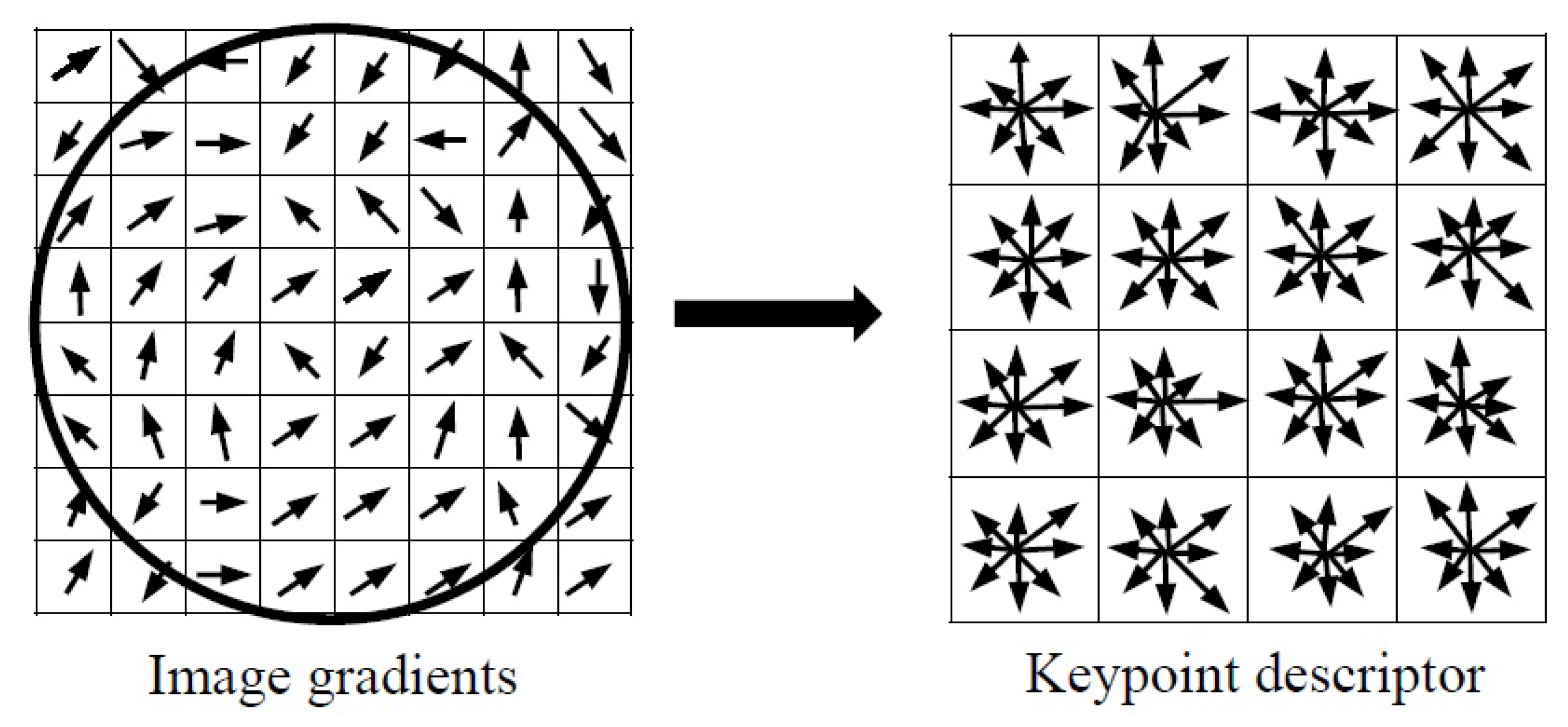 Diagnostics 08 00056 g008