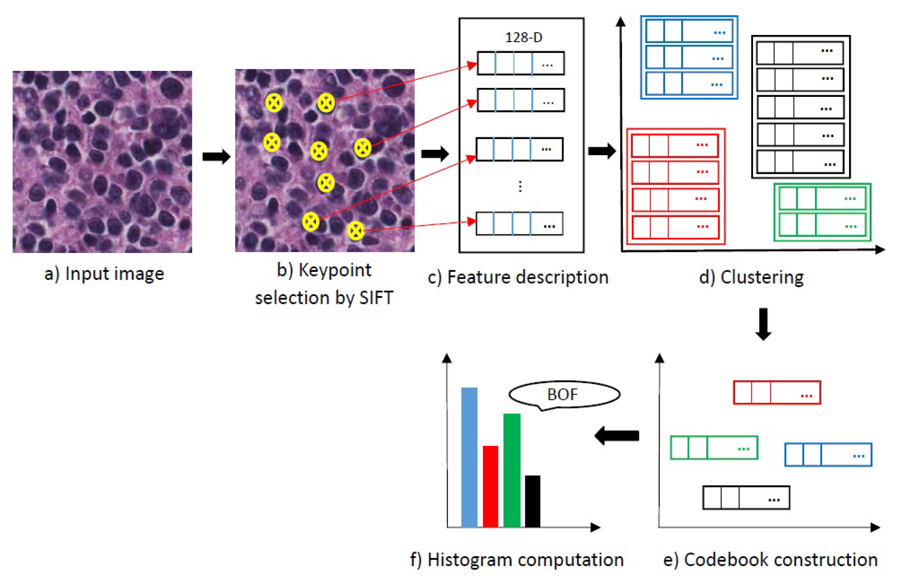 Diagnostics 08 00056 g009