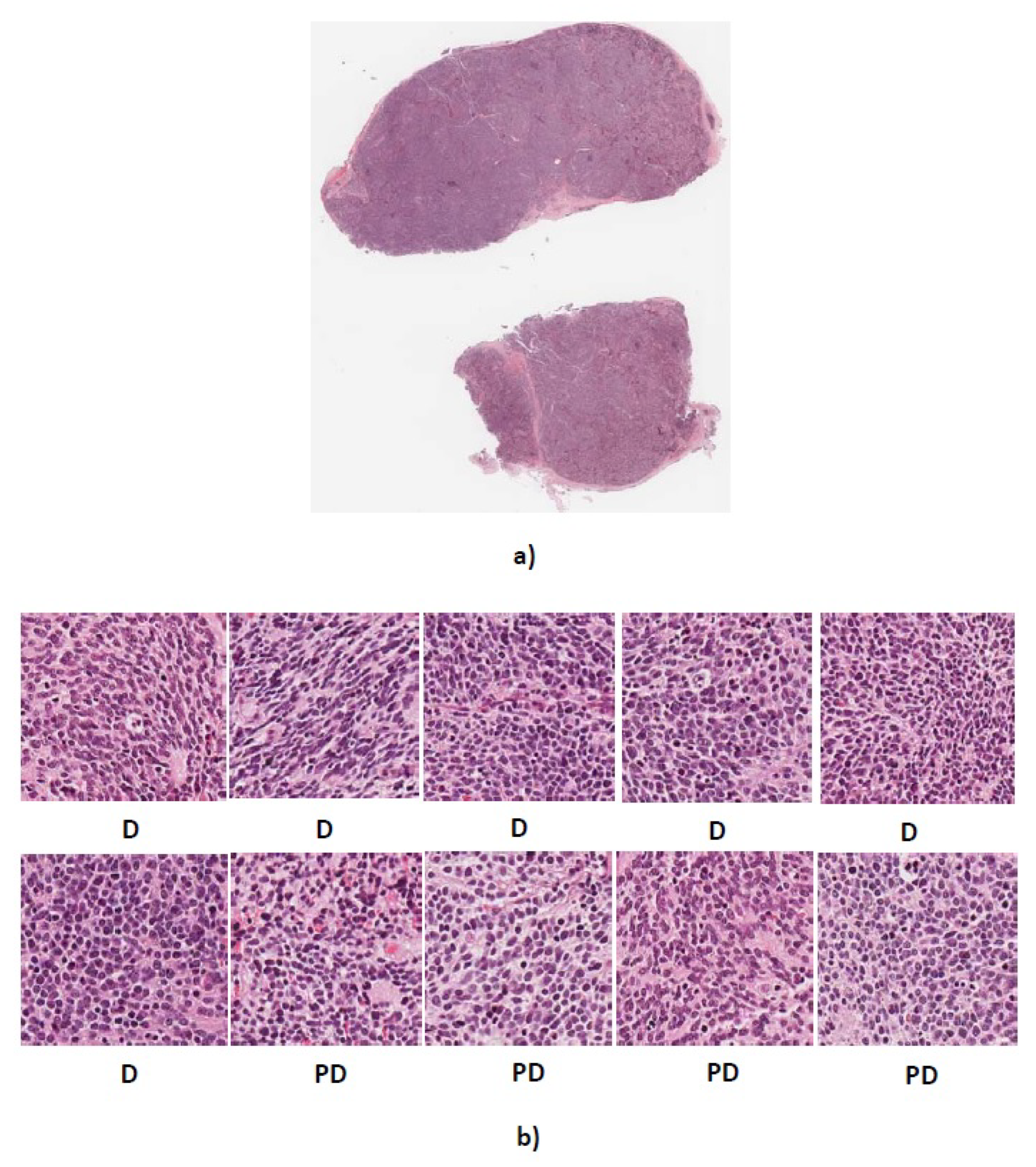 Diagnostics 08 00056 g011
