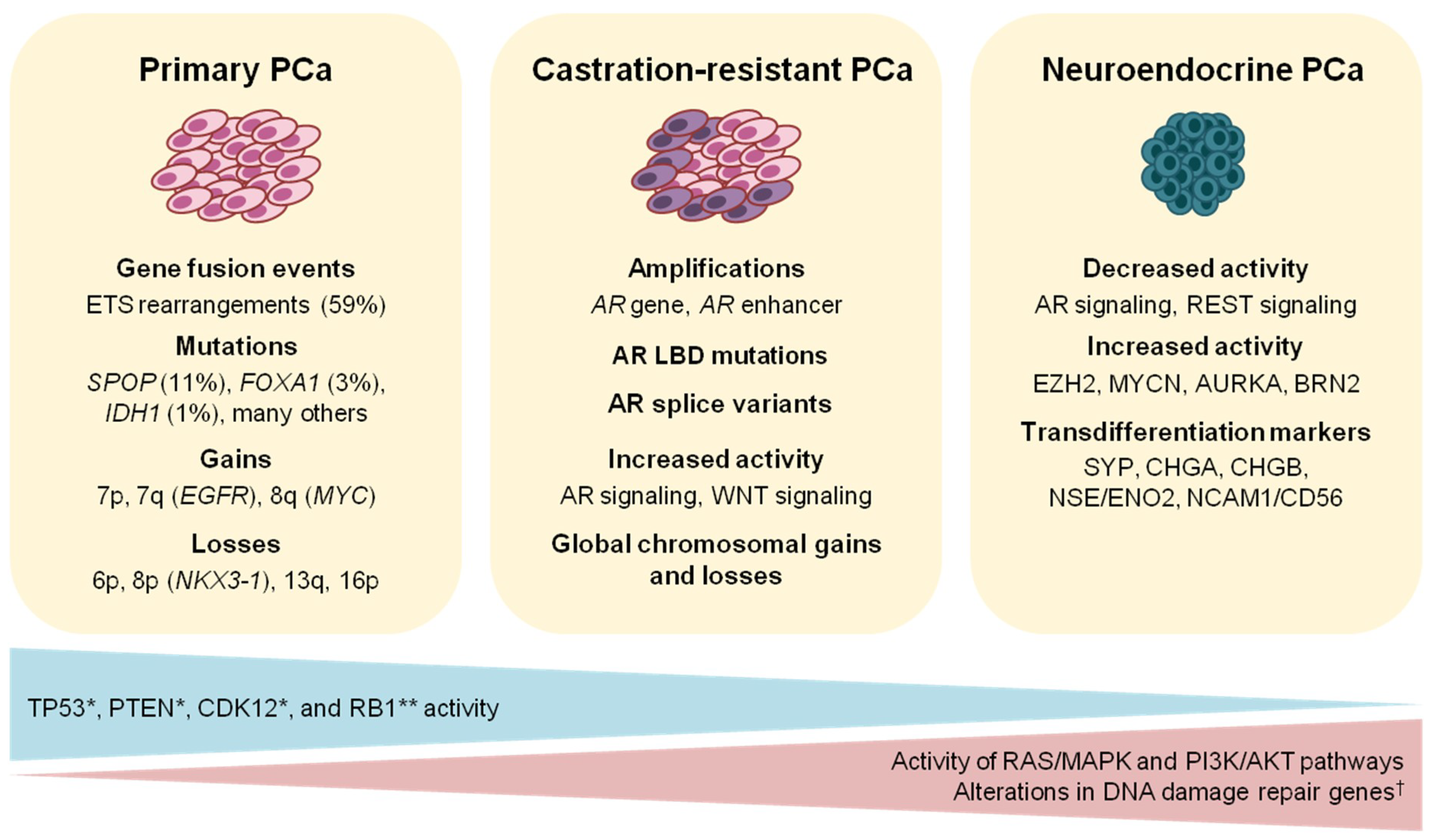 [Health behavior of Hungarian prostate cancer patients]