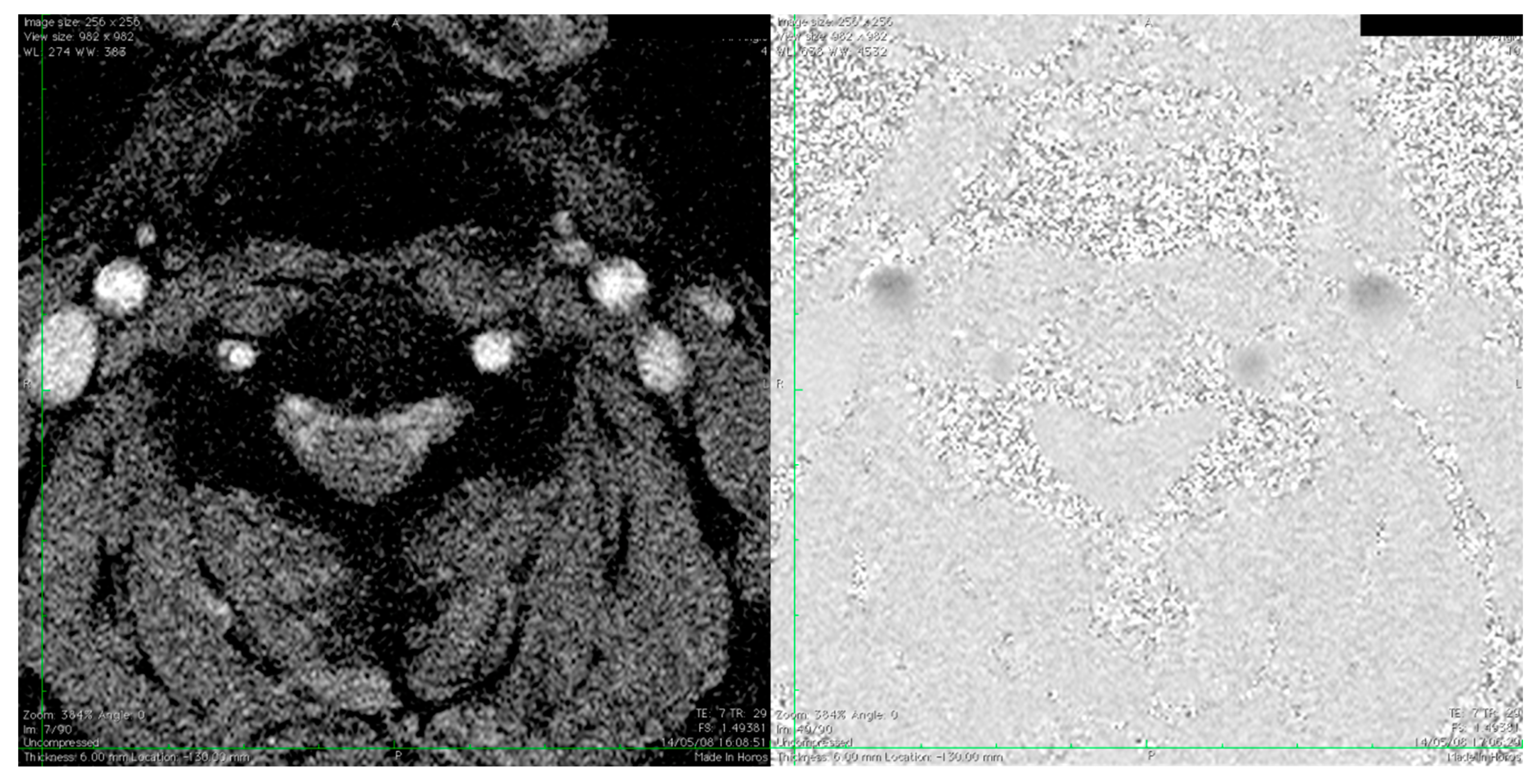 Diagnostics 09 00005 g001