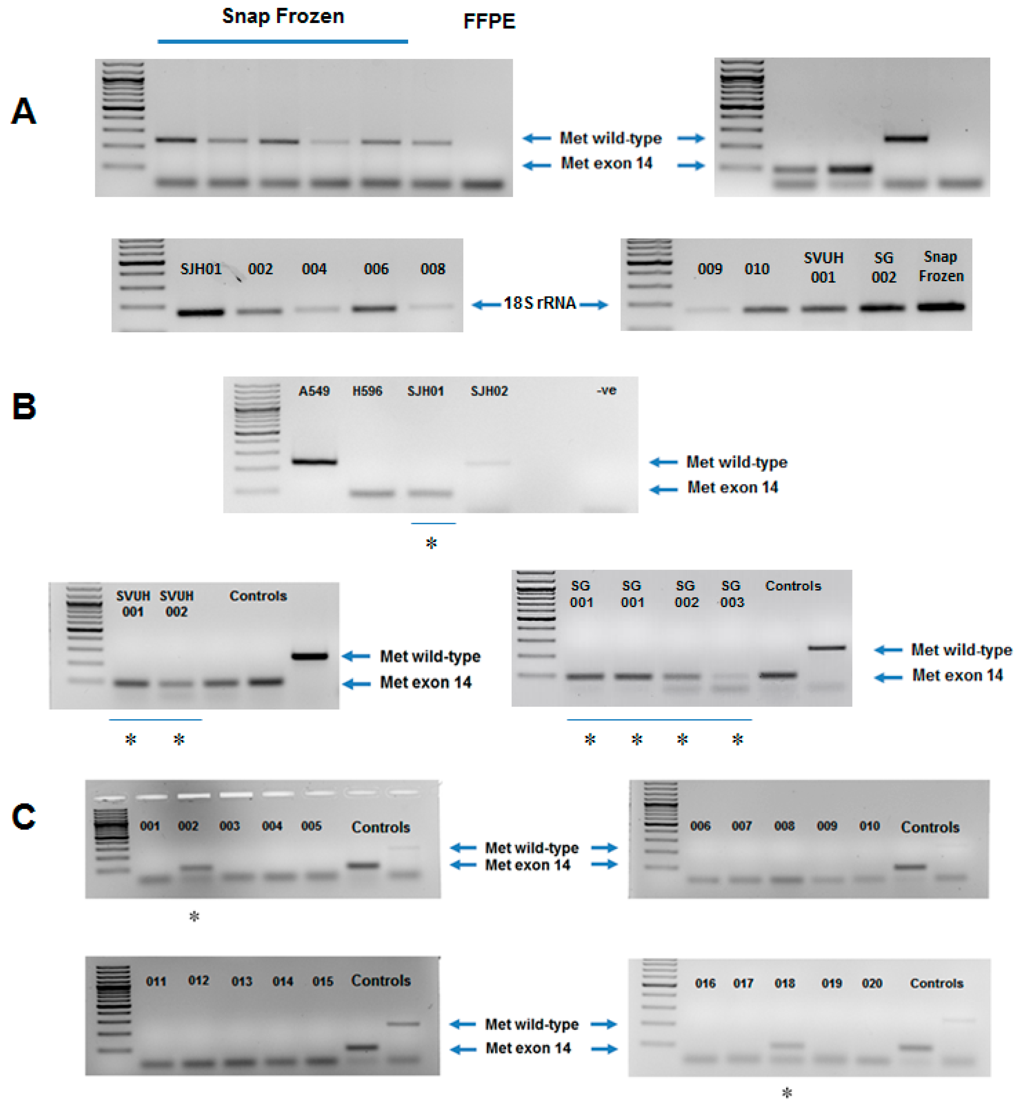 Diagnostics 09 00013 g001 Diagnostics 09 00013 g001