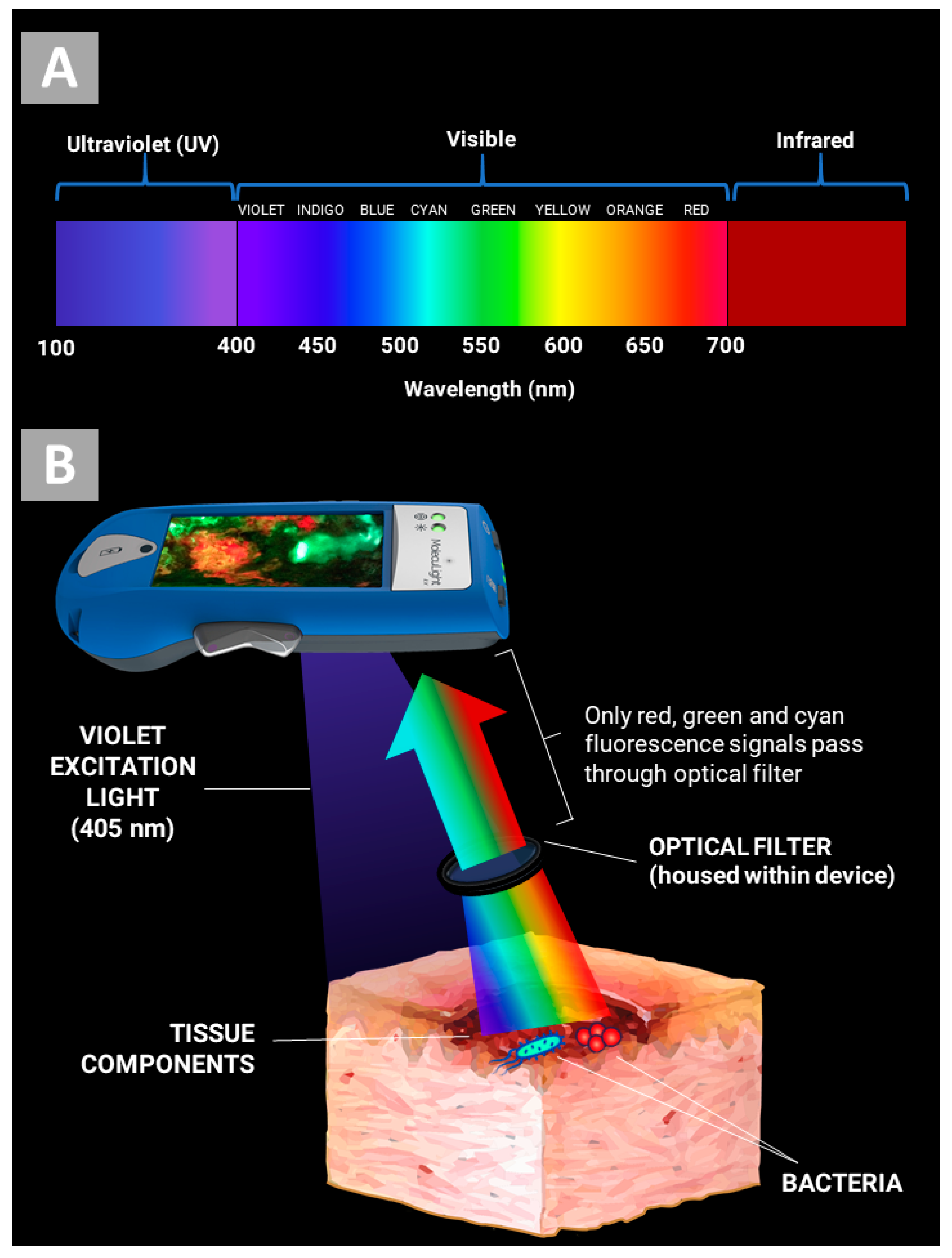 Diagnostics 09 00022 g001