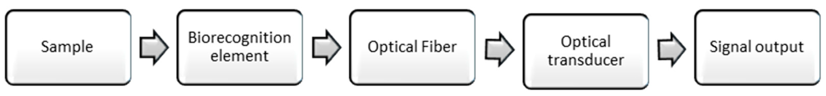 Diagnostics 09 00023 g002