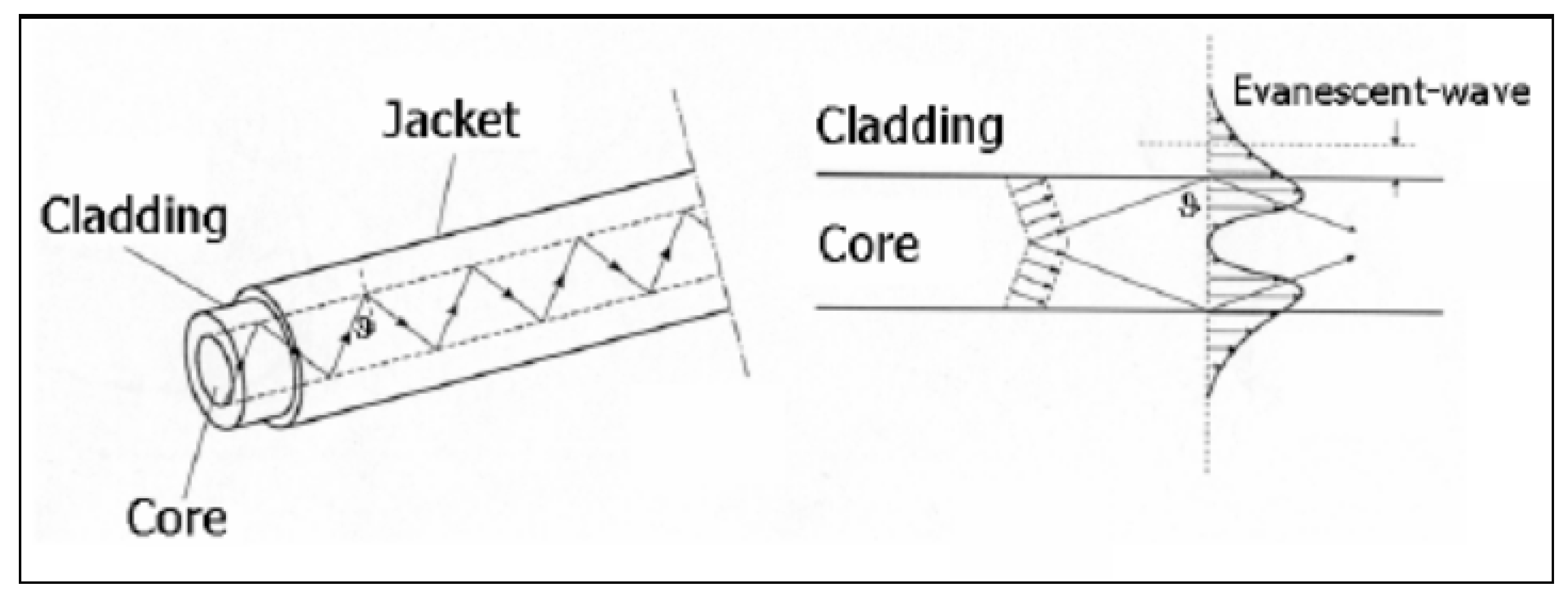 Diagnostics 09 00023 g004