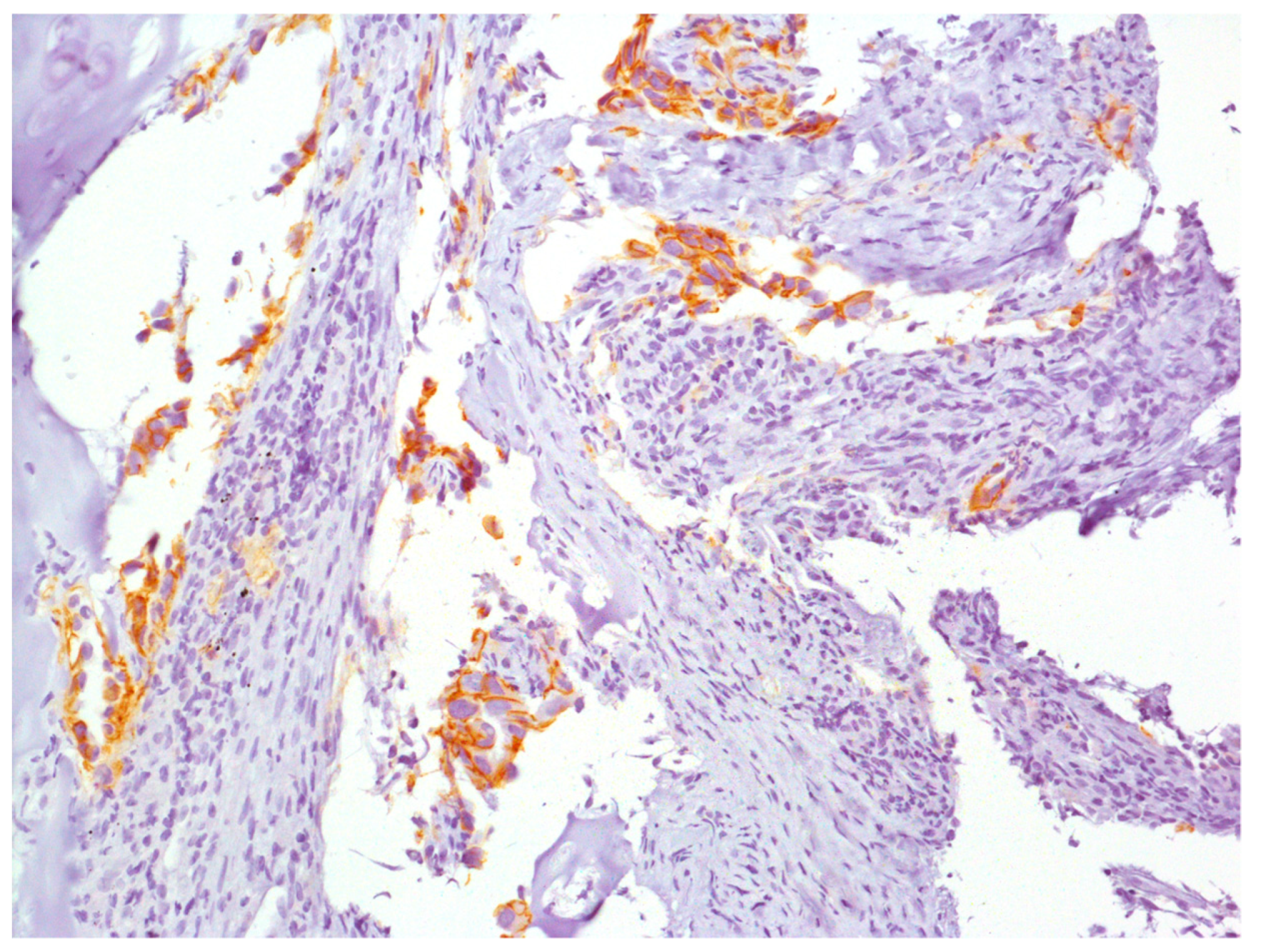 Diagnostics 09 00042 g004