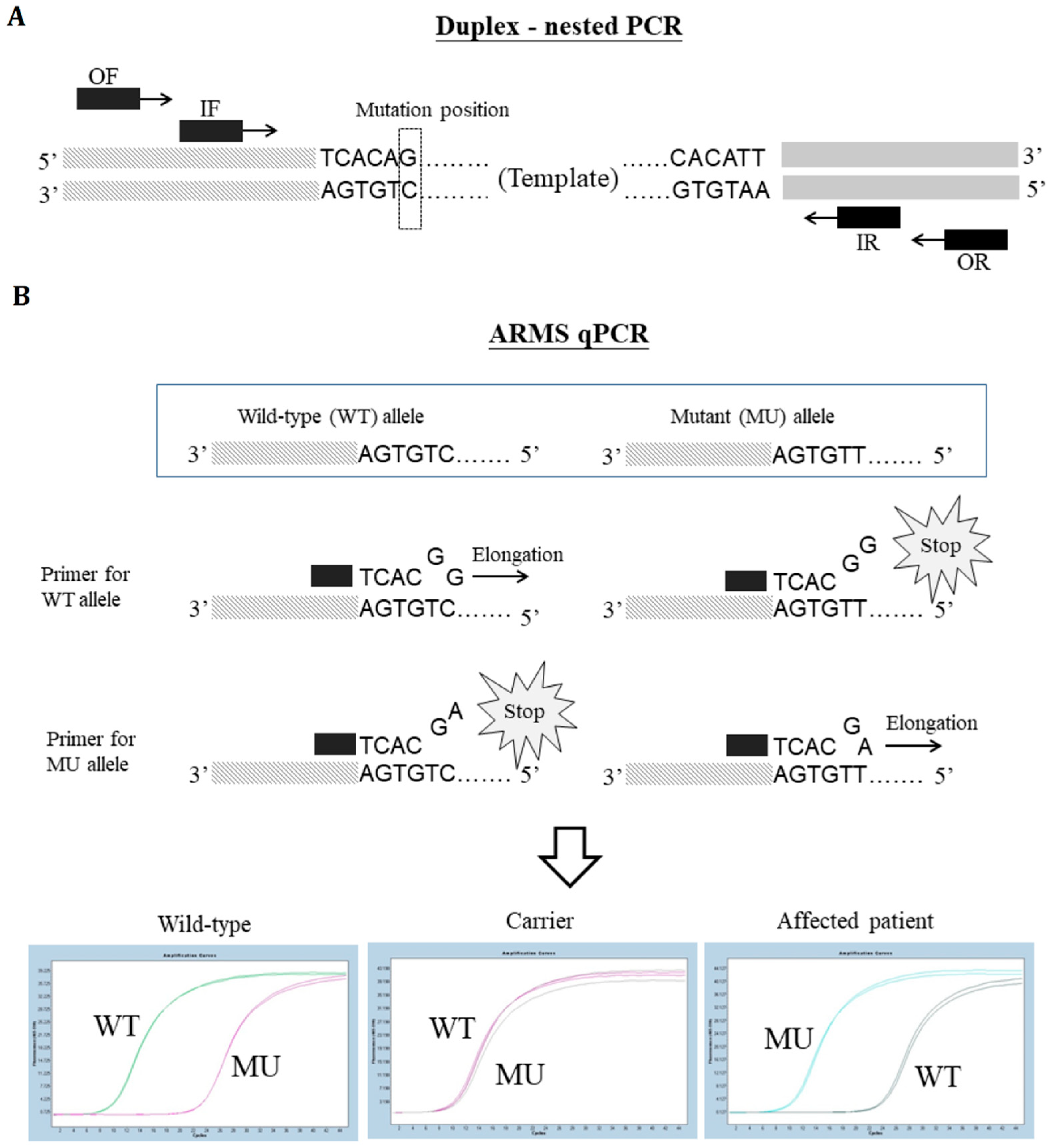 Diagnostics 09 00044 g001