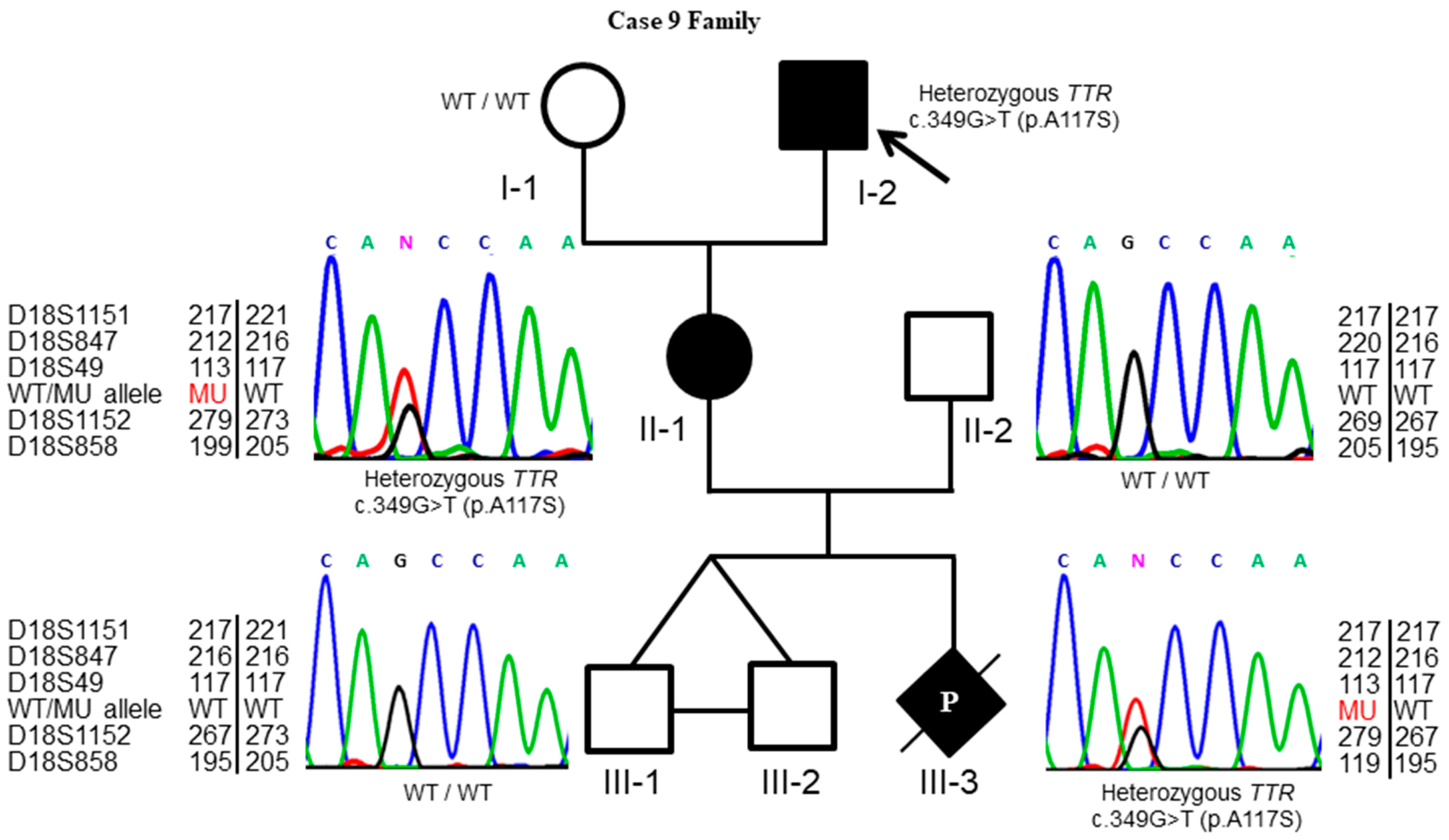 Diagnostics 09 00044 g002