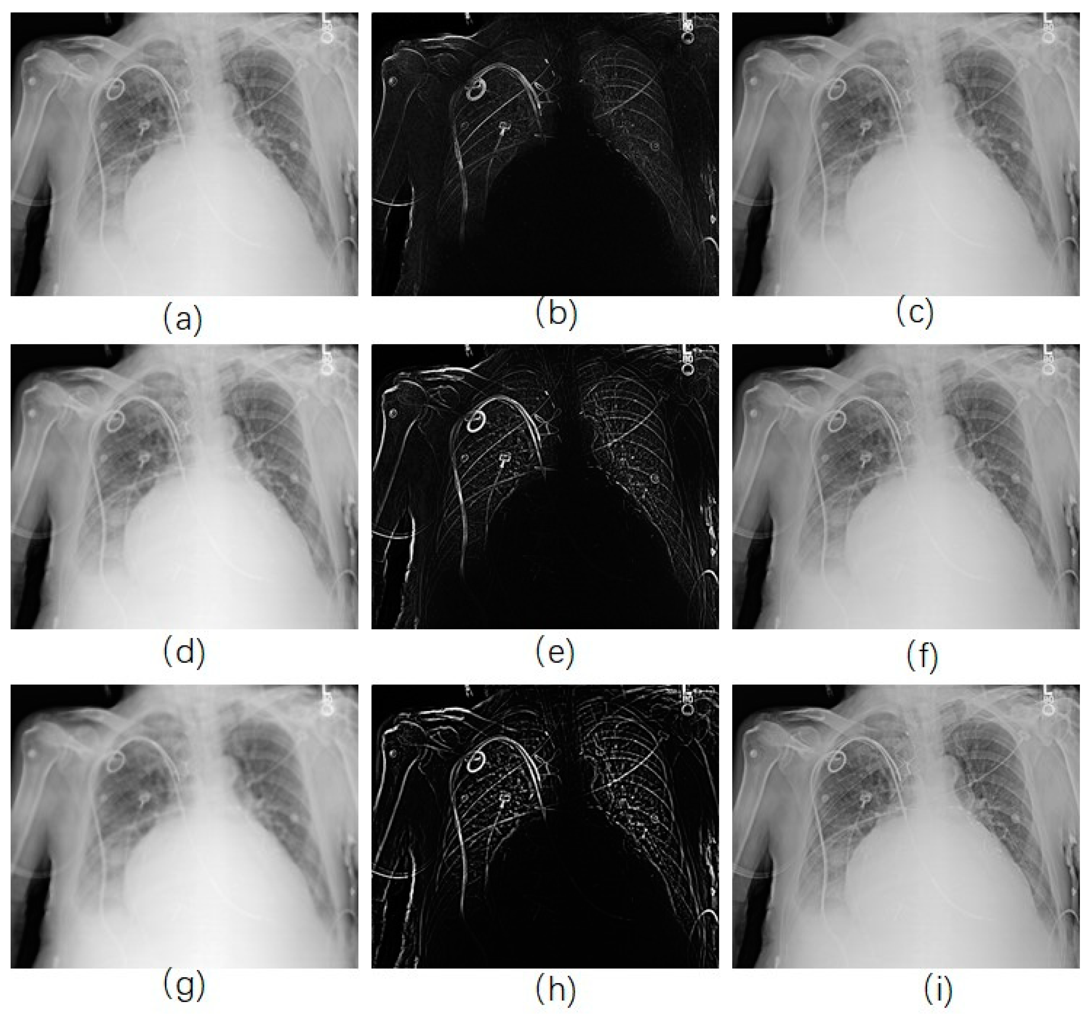 Diagnostics 09 00045 g005 550