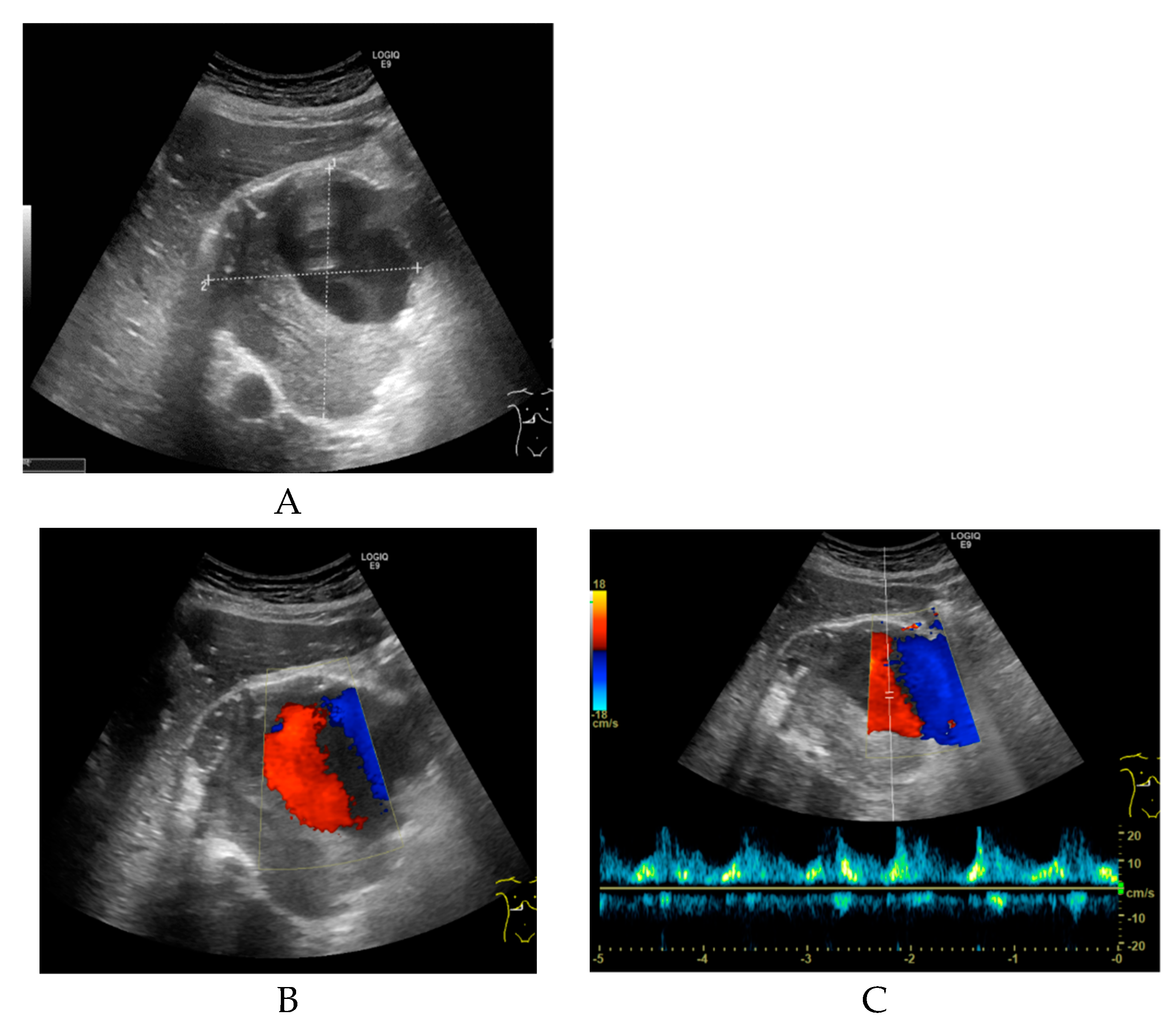 Diagnostics 09 00053 g002 Diagnostics 09 00053 g002