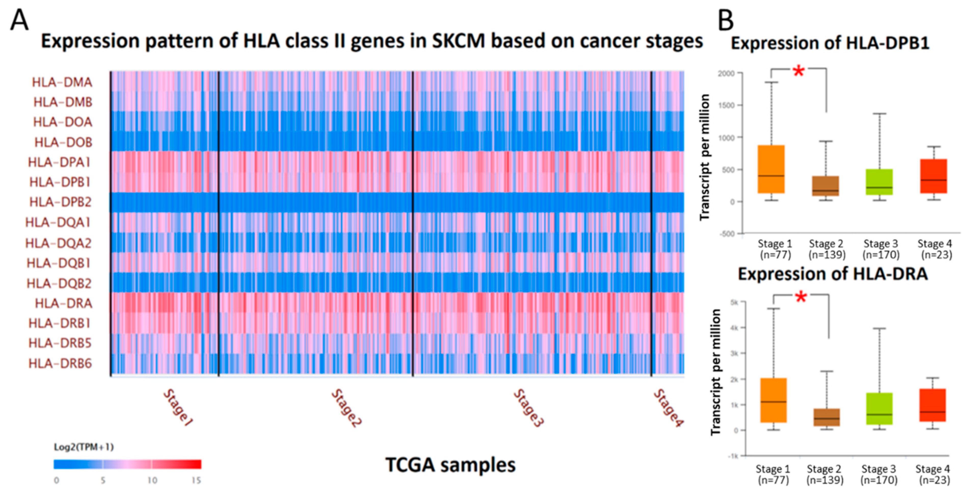 Diagnostics 09 00059 g002 Diagnostics 09 00059 g002