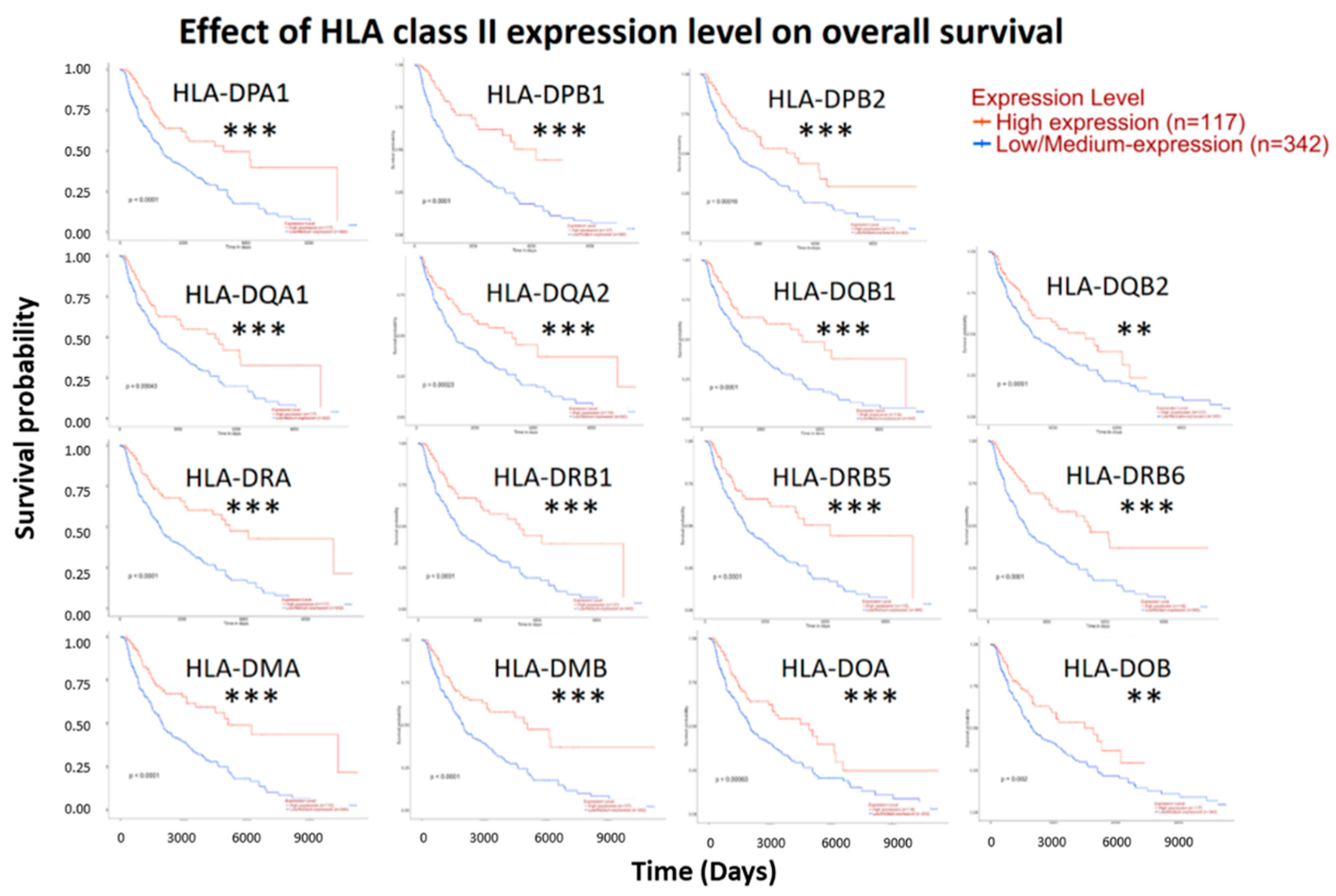 Diagnostics 09 00059 g003 Diagnostics 09 00059 g003