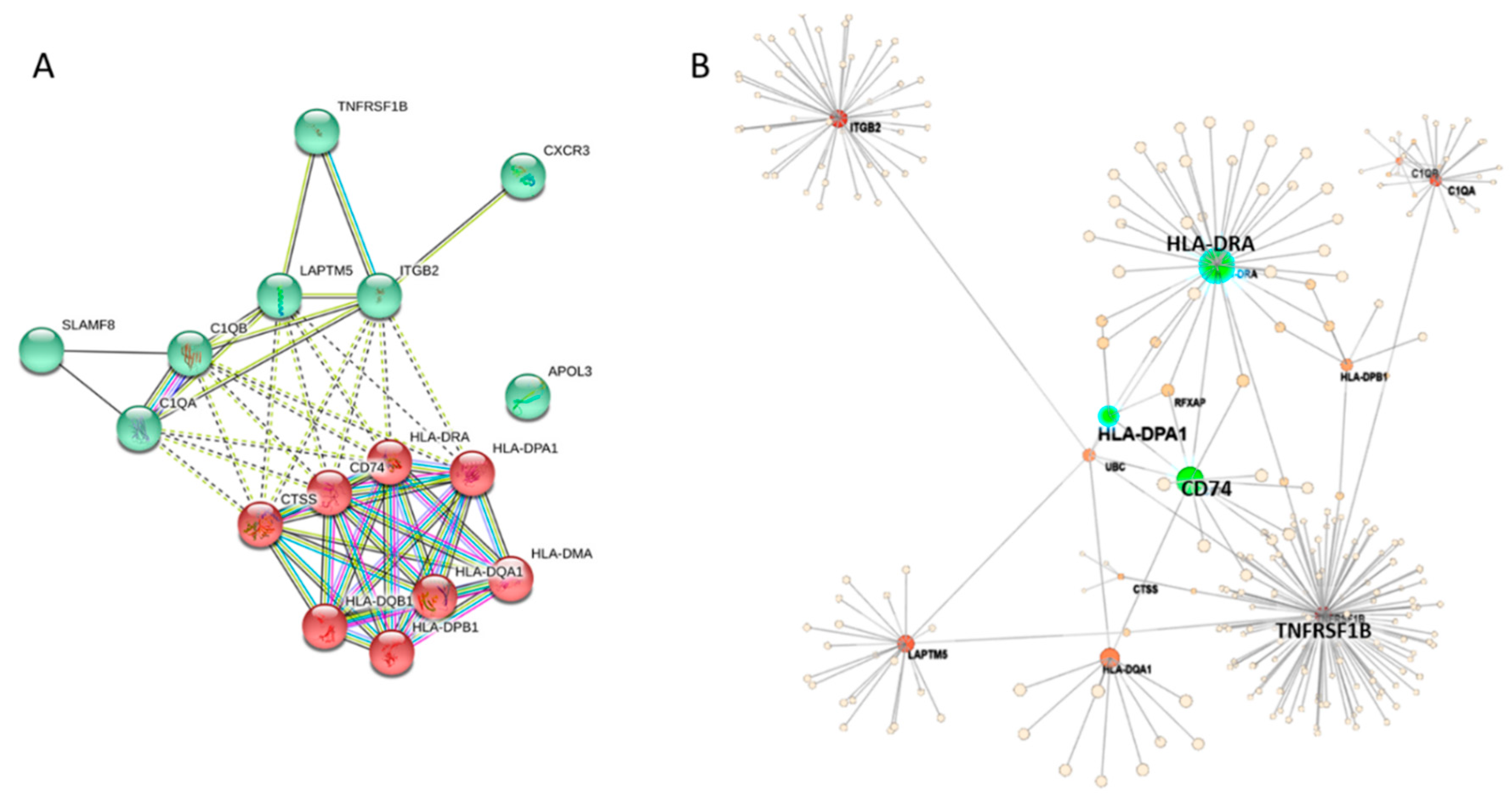 Diagnostics 09 00059 g007 Diagnostics 09 00059 g007