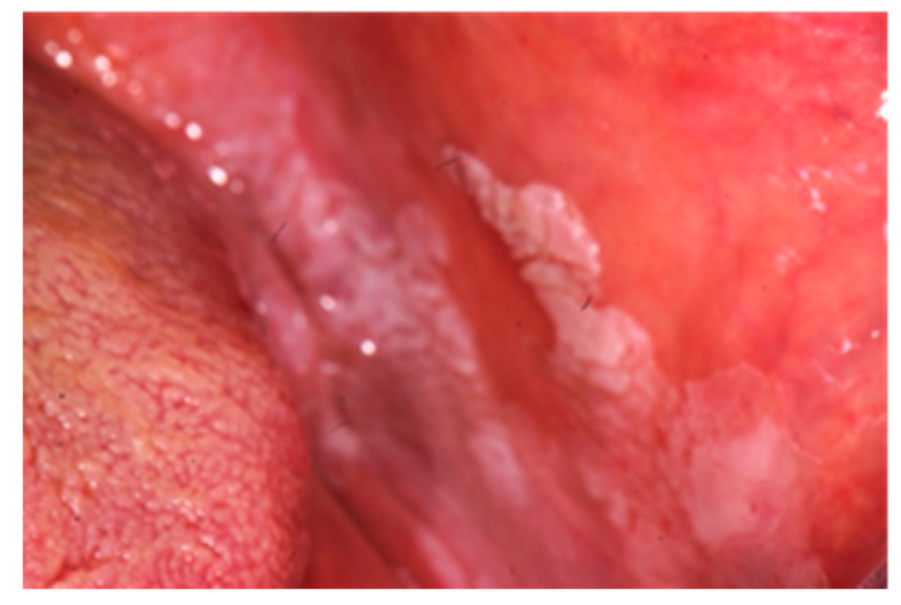 Diagnostics 09 00077 g004 Diagnostics 09 00077 g004