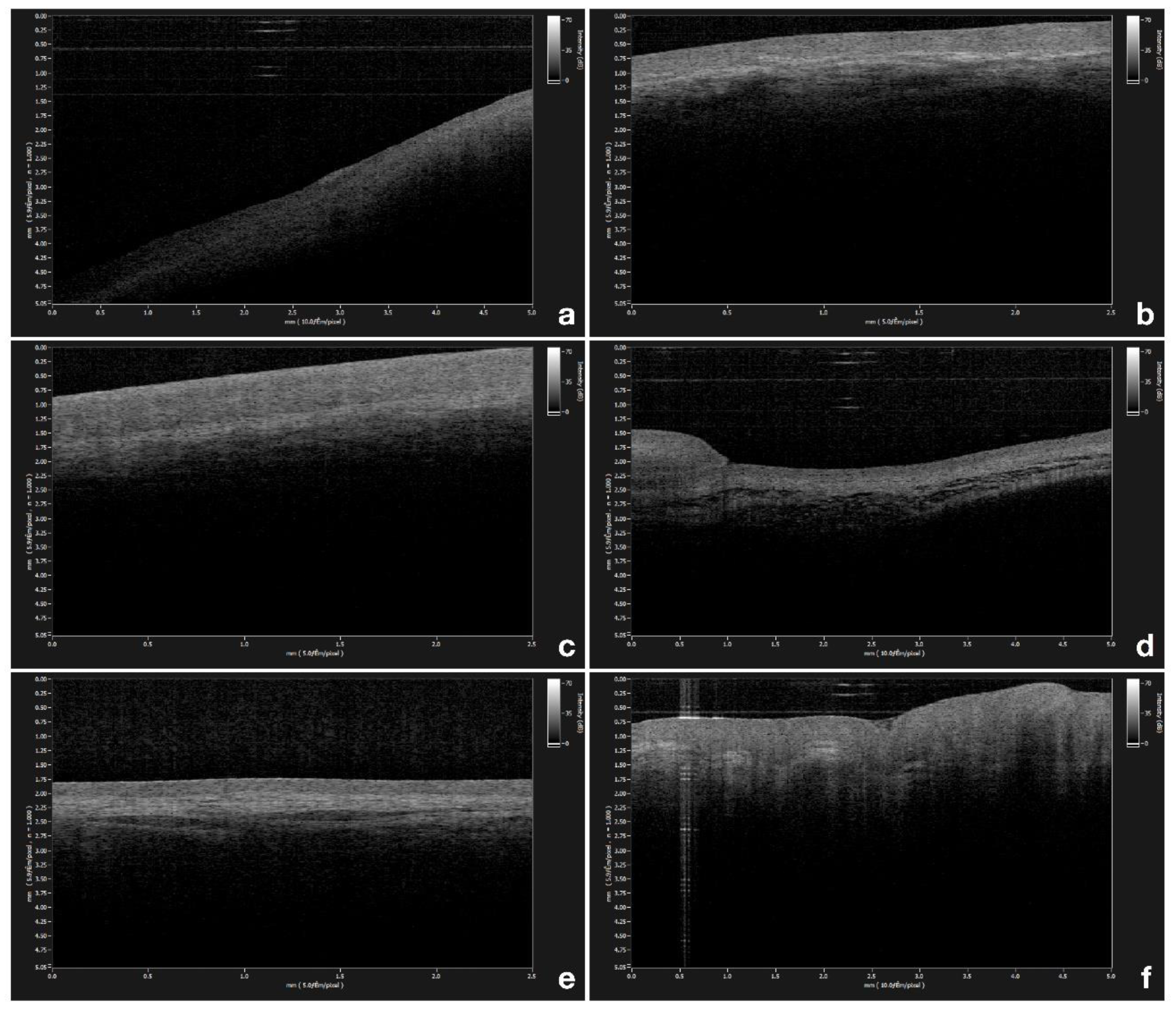 Diagnostics 09 00090 g001 Diagnostics 09 00090 g001