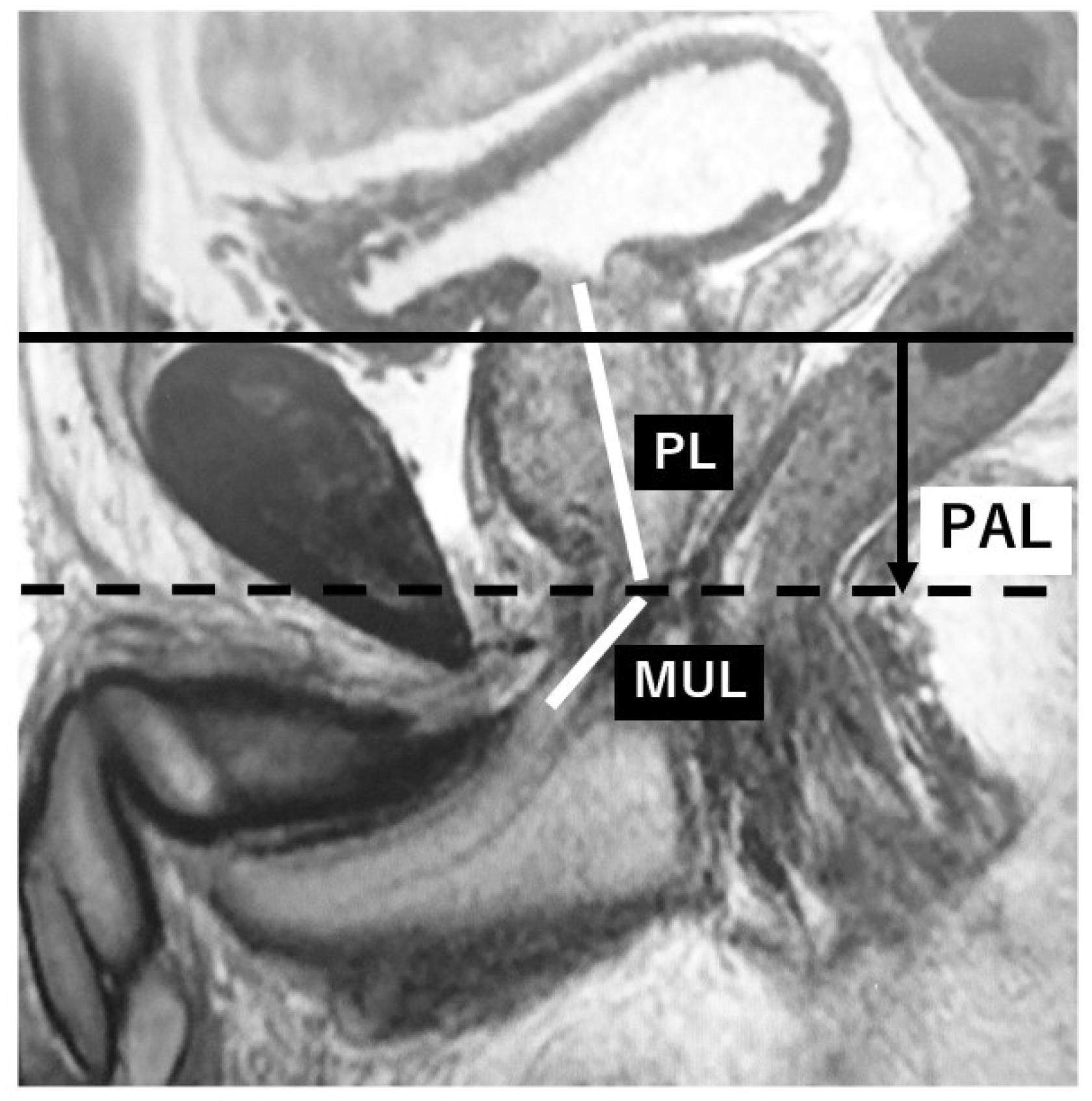 Diagnostics 09 00102 g001 550