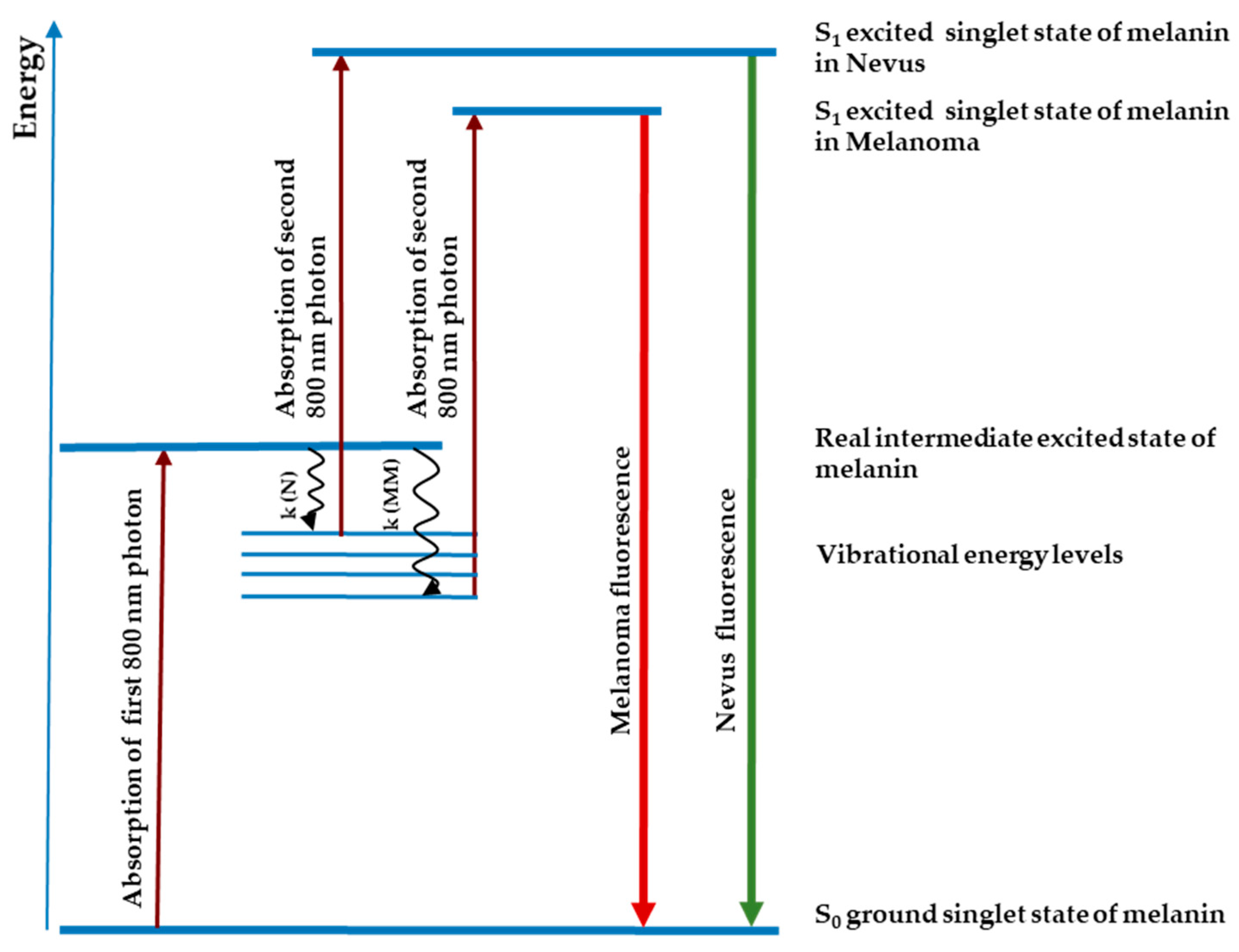 Diagnostics 09 00103 g001