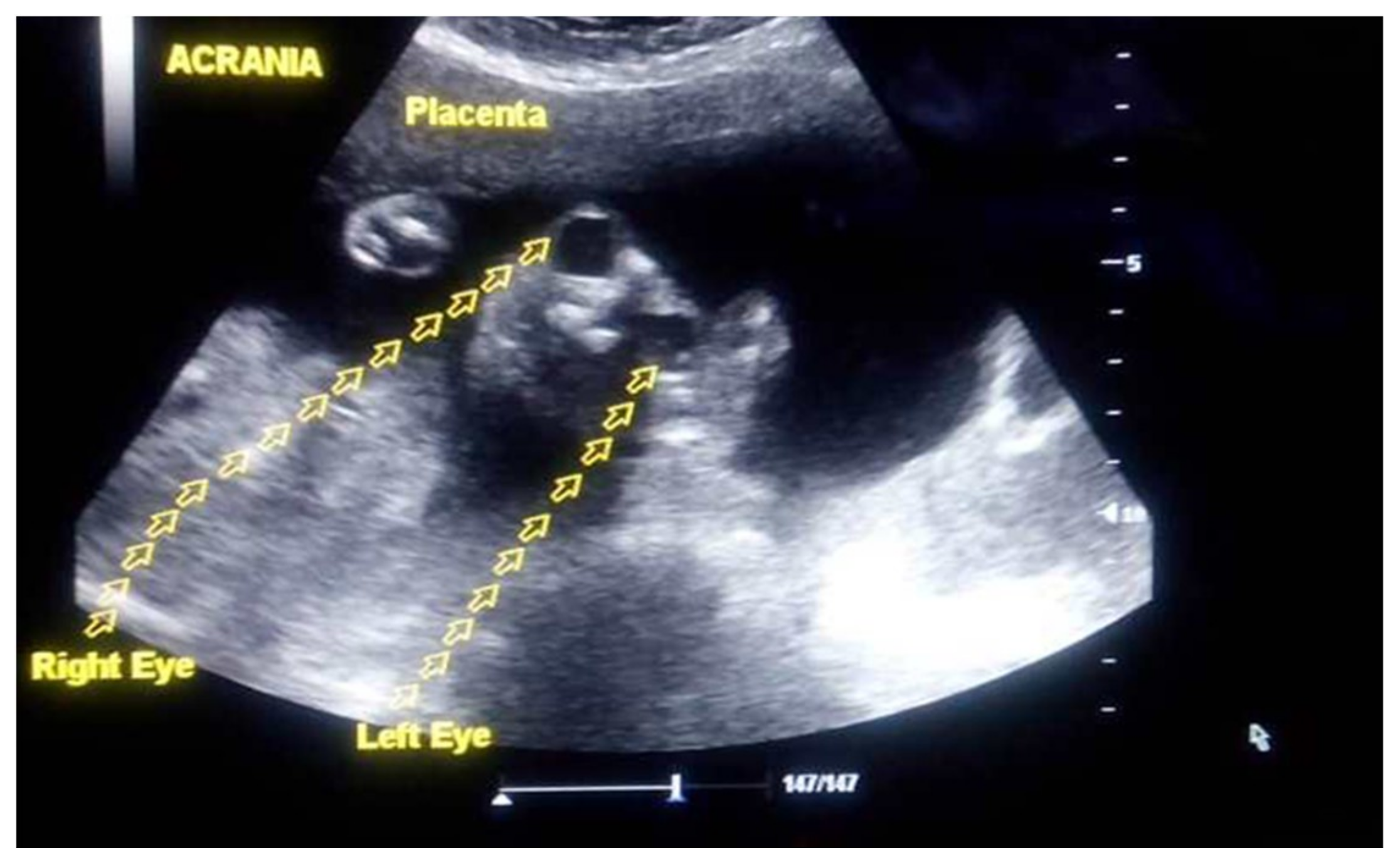 Diagnostics 09 00109 g003
