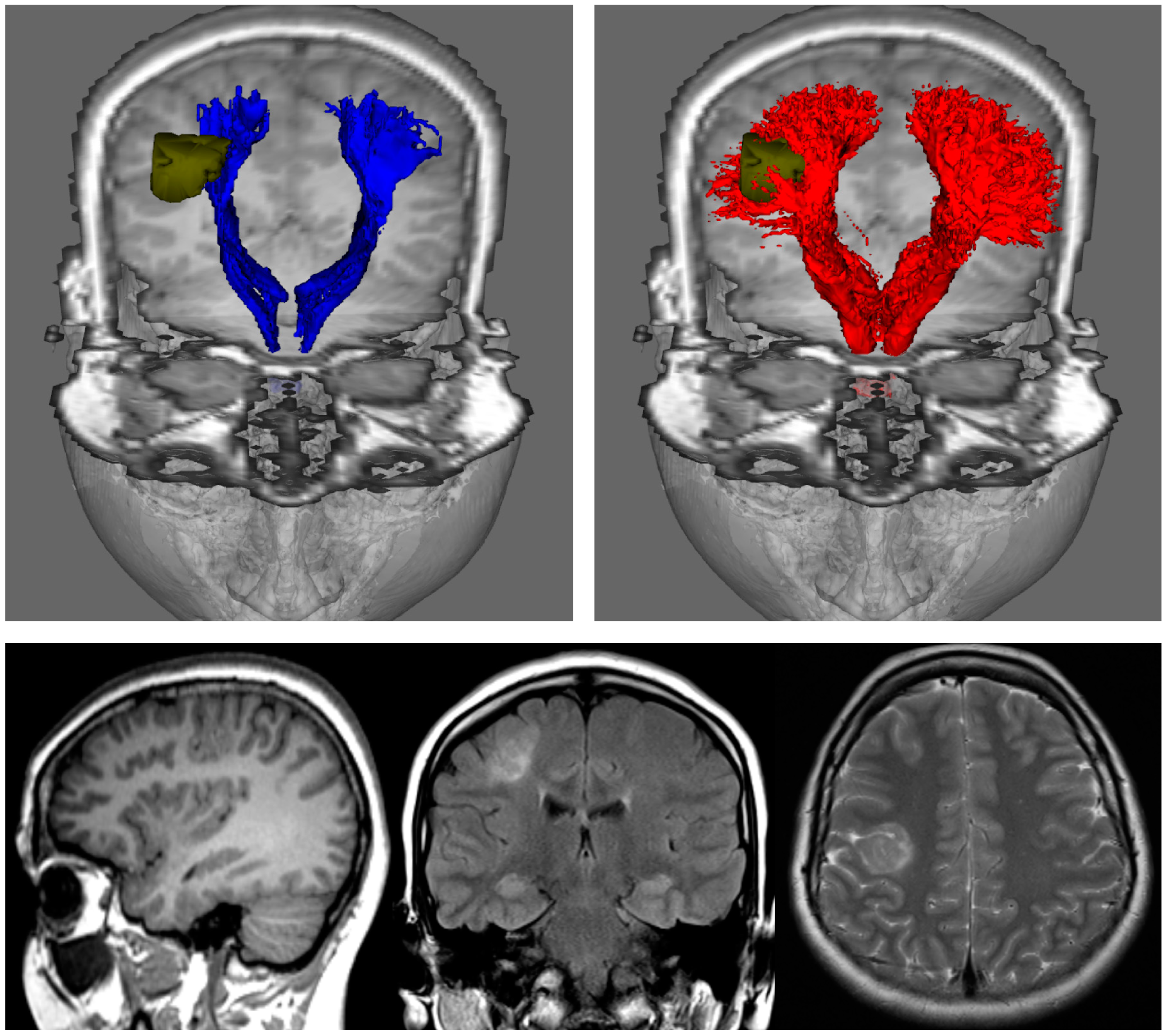 Diagnostics 09 00115 g003