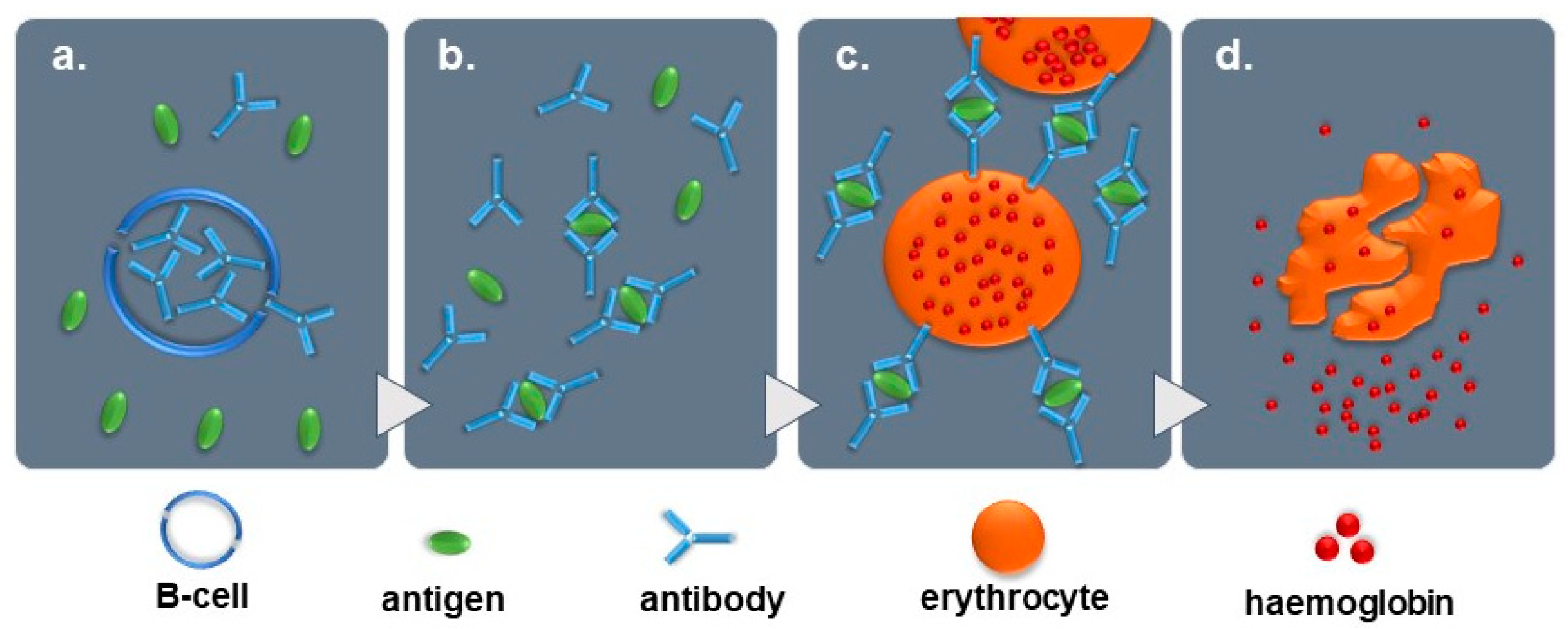 Diagnostics 09 00130 g008 550