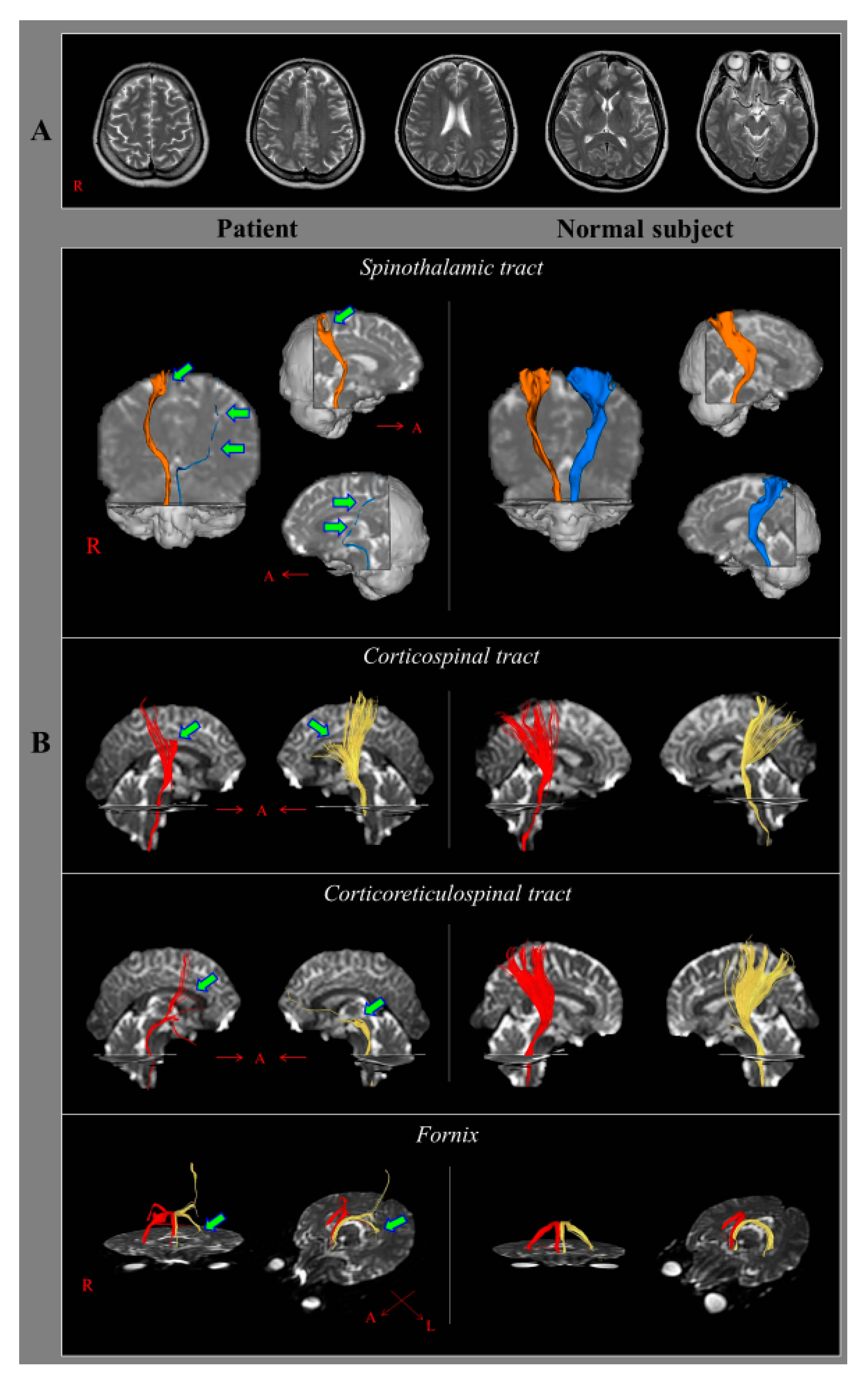 Diagnostics 09 00145 g001 Diagnostics 09 00145 g001