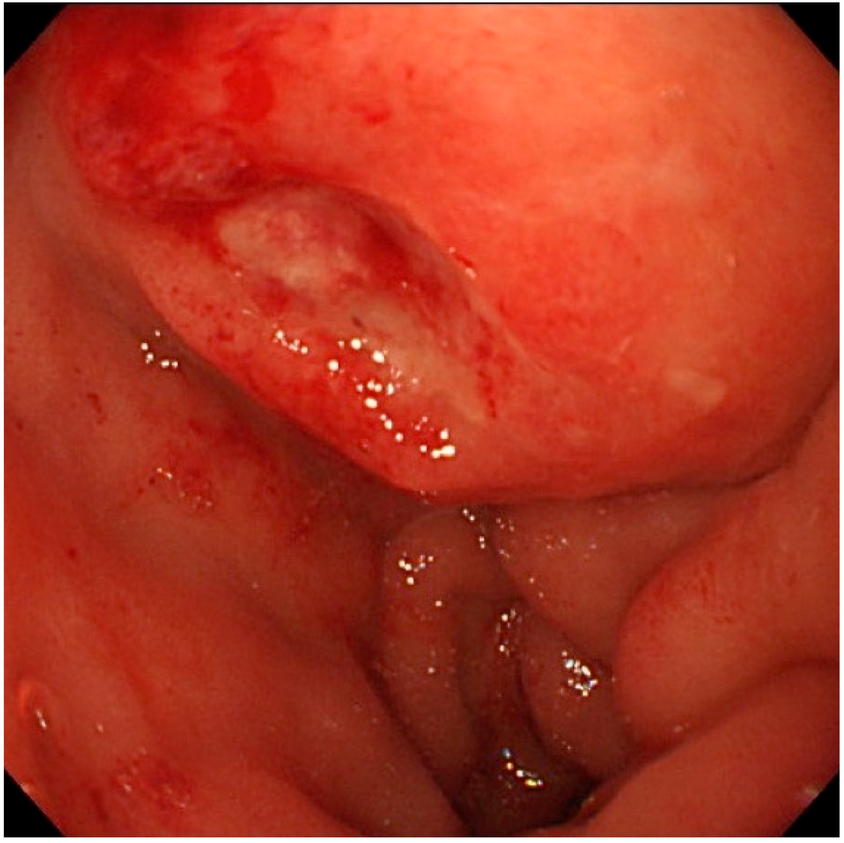 Diagnostics 09 00150 g002 Diagnostics 09 00150 g002