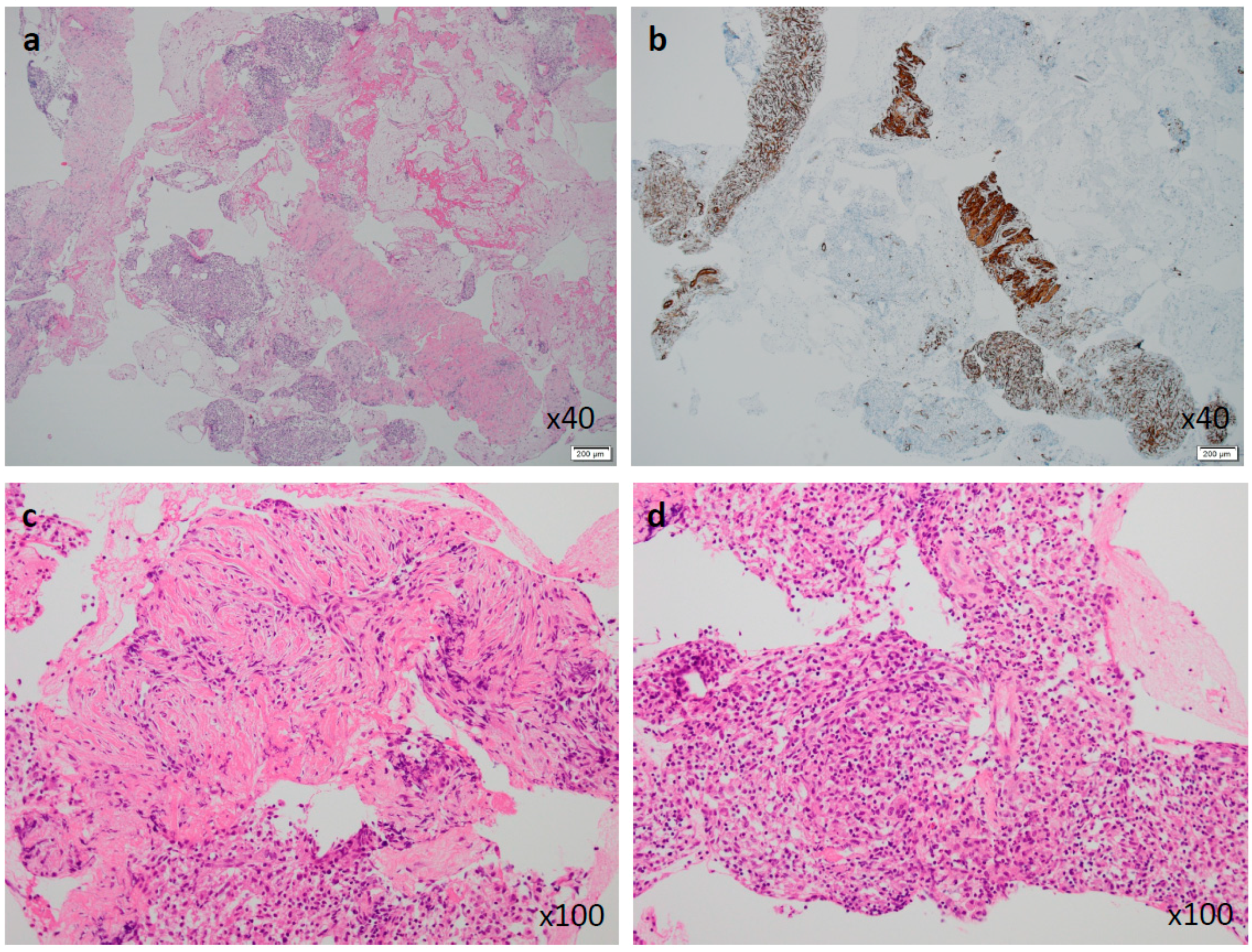 Diagnostics 09 00150 g004 Diagnostics 09 00150 g004