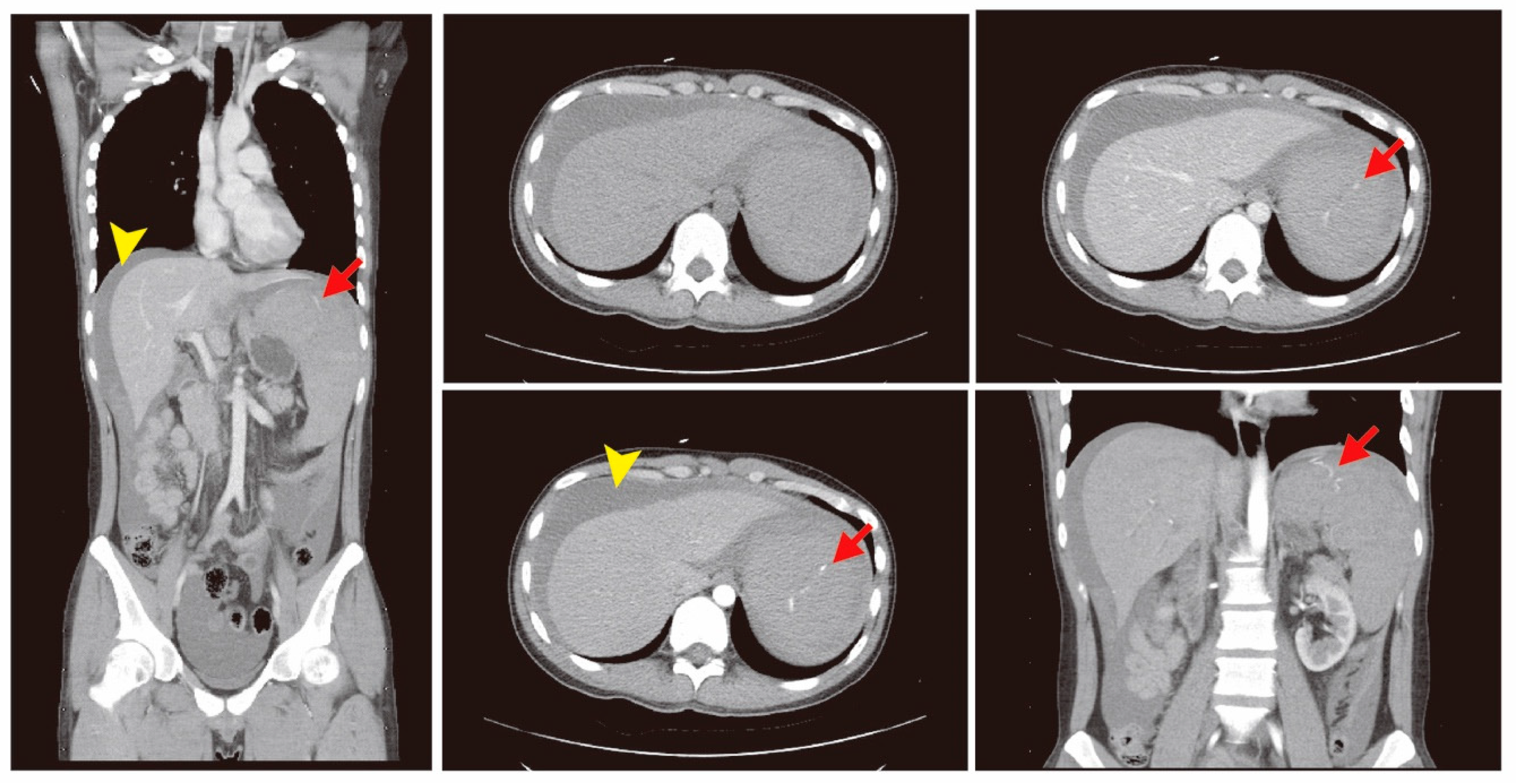 Diagnostics 09 00152 g001