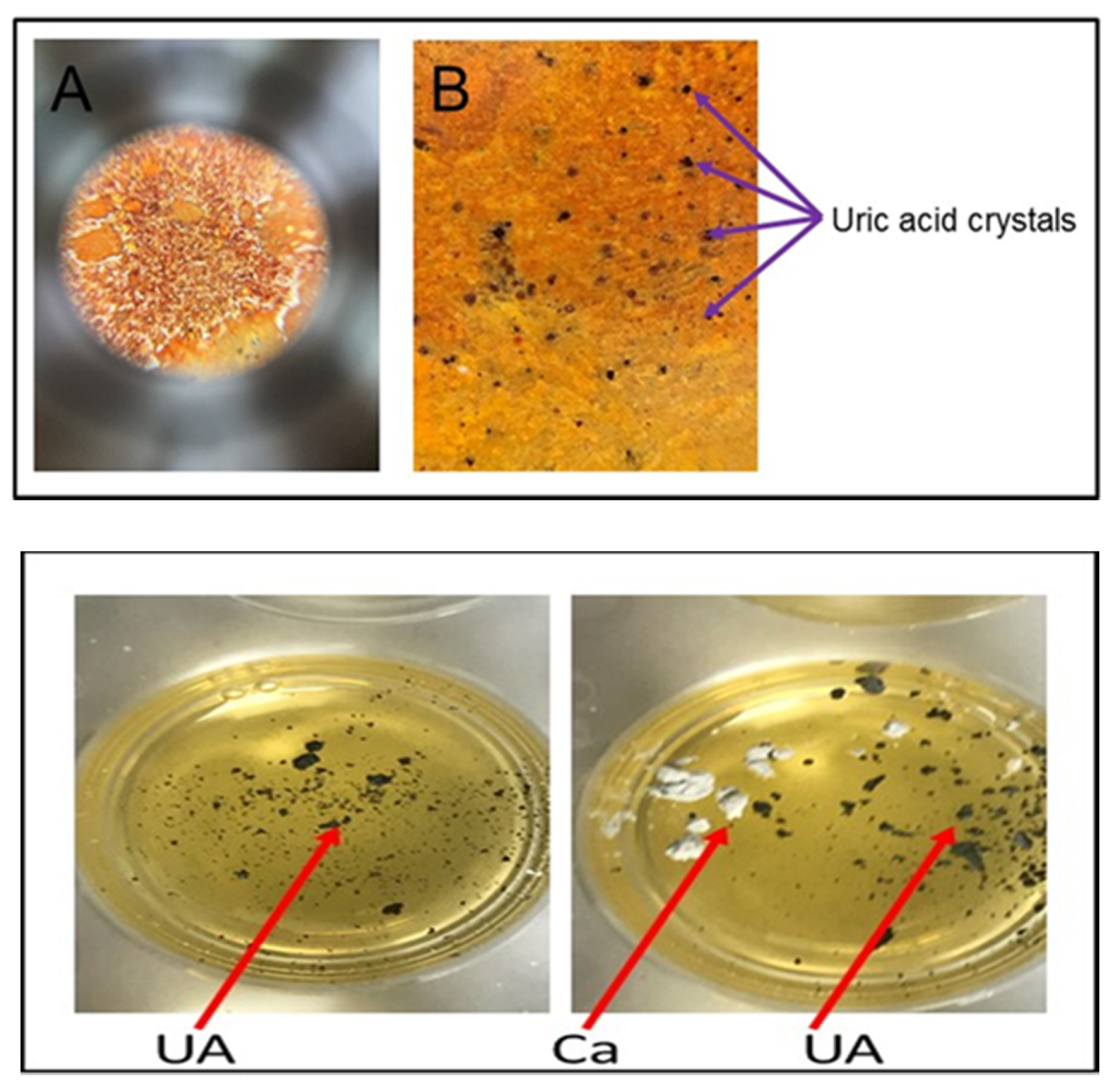 Diagnostics 09 00157 g004