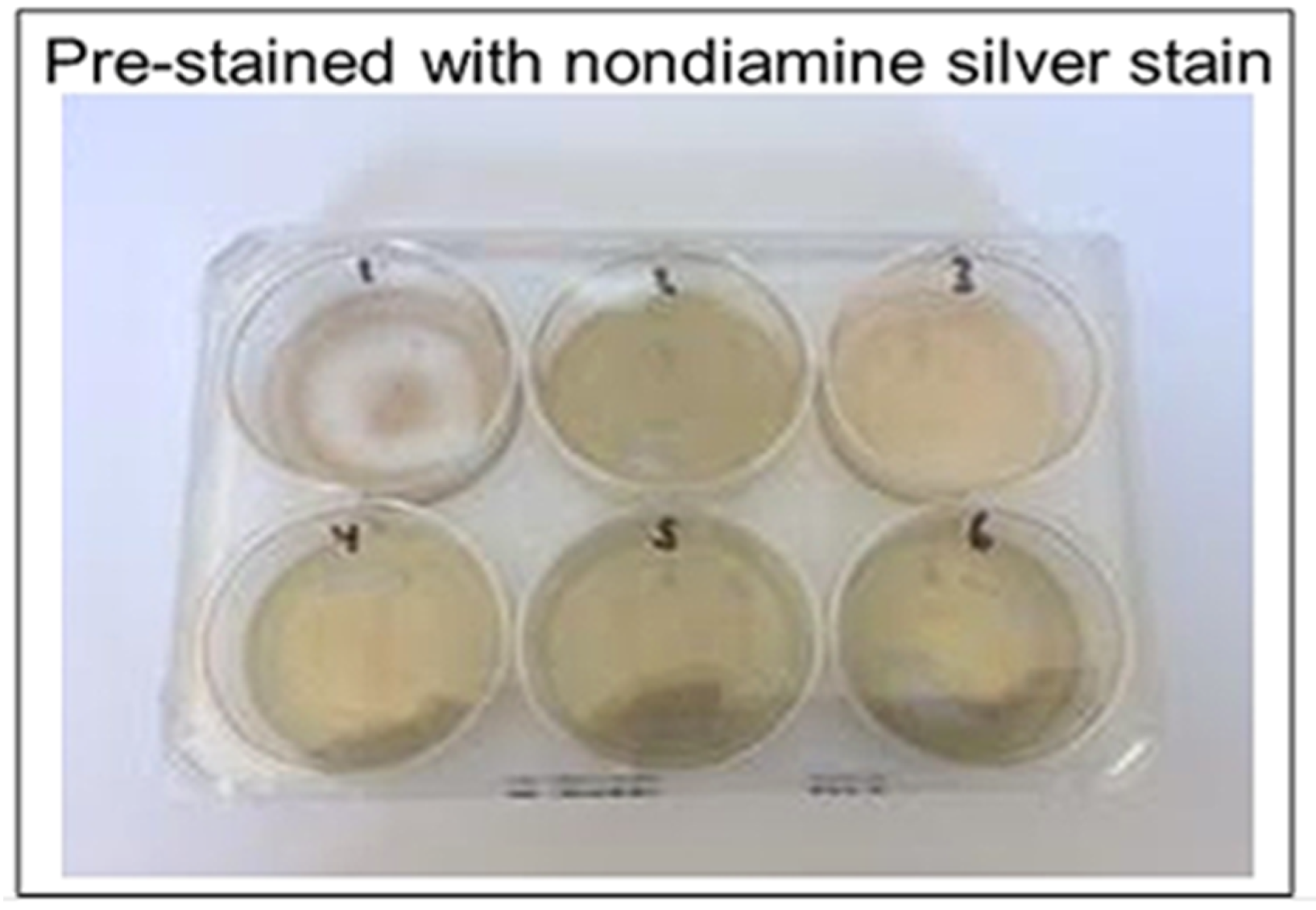 Diagnostics 09 00157 g005