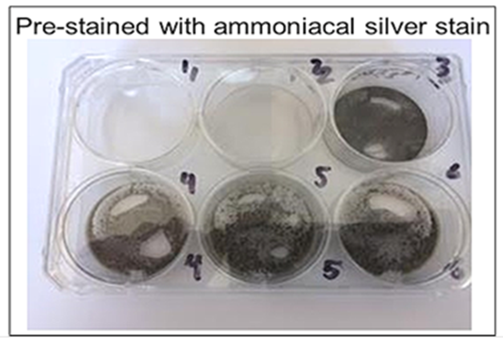 Diagnostics 09 00157 g006