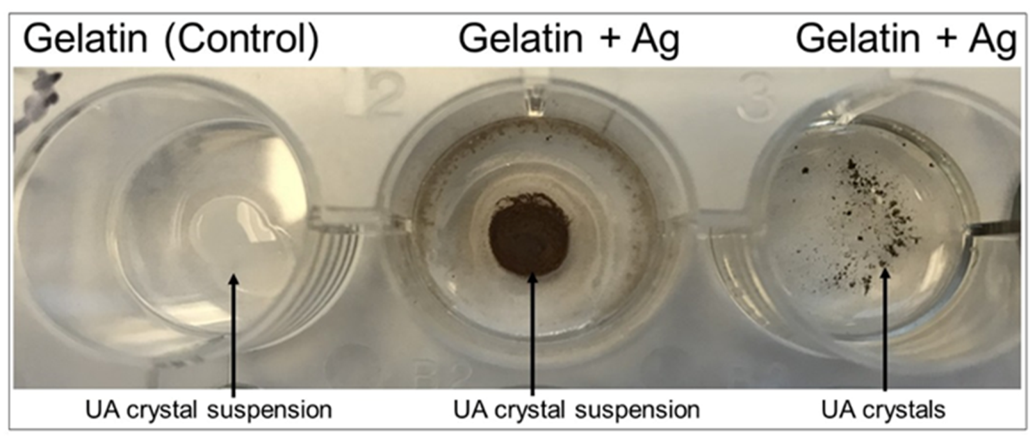 Diagnostics 09 00157 g009