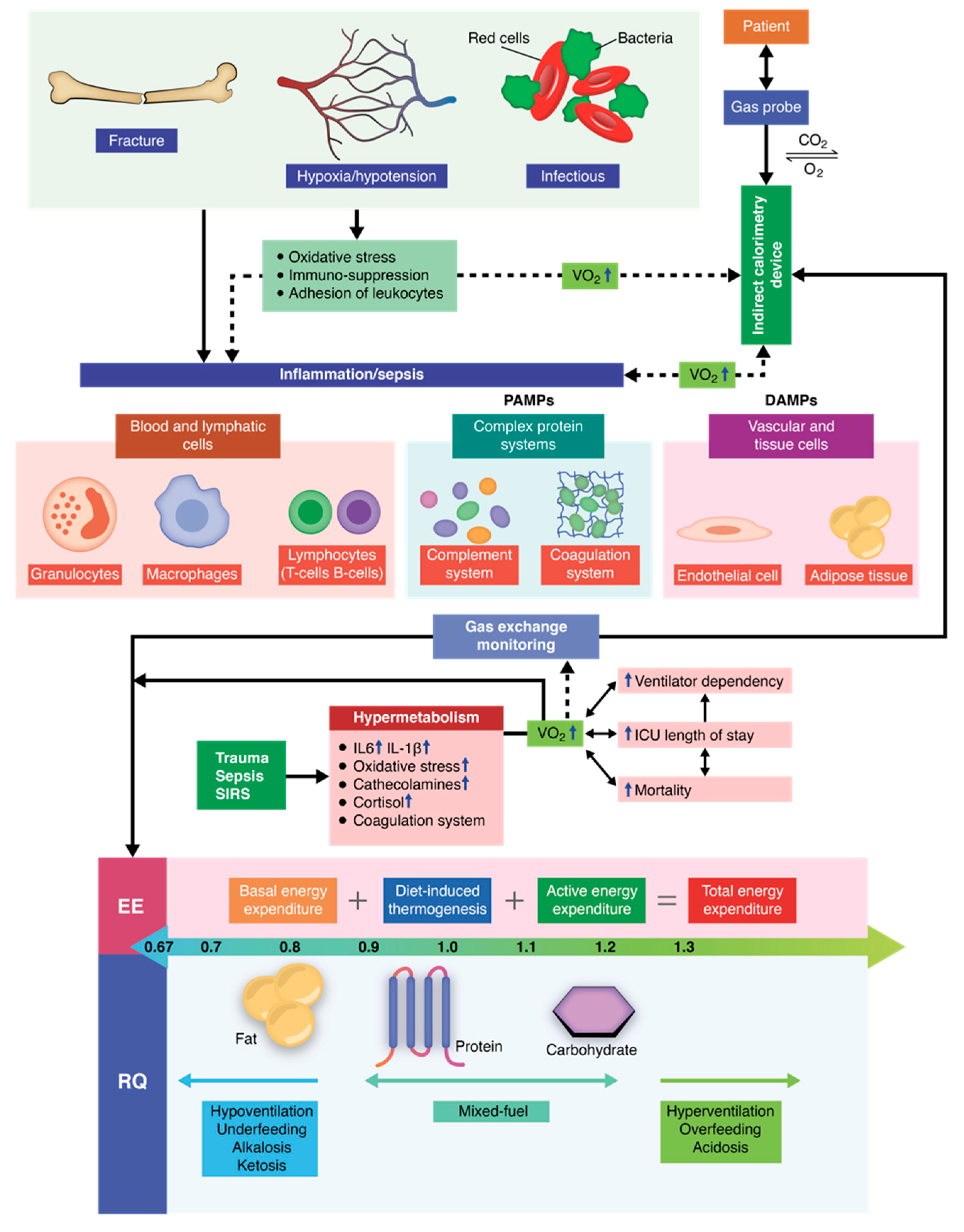 Diagnostics 09 00171 g002