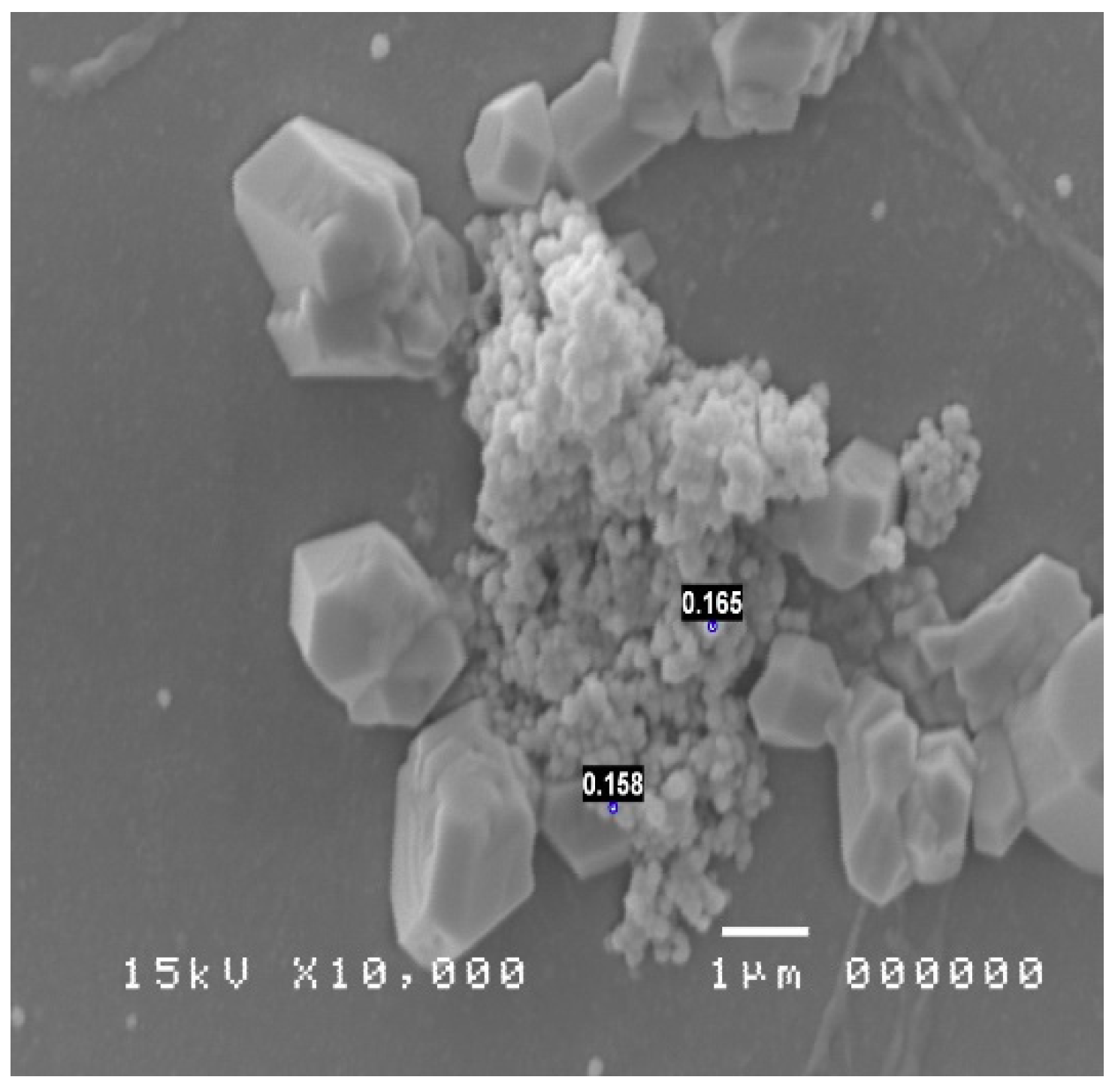 Diagnostics 09 00174 g005 Diagnostics 09 00174 g005