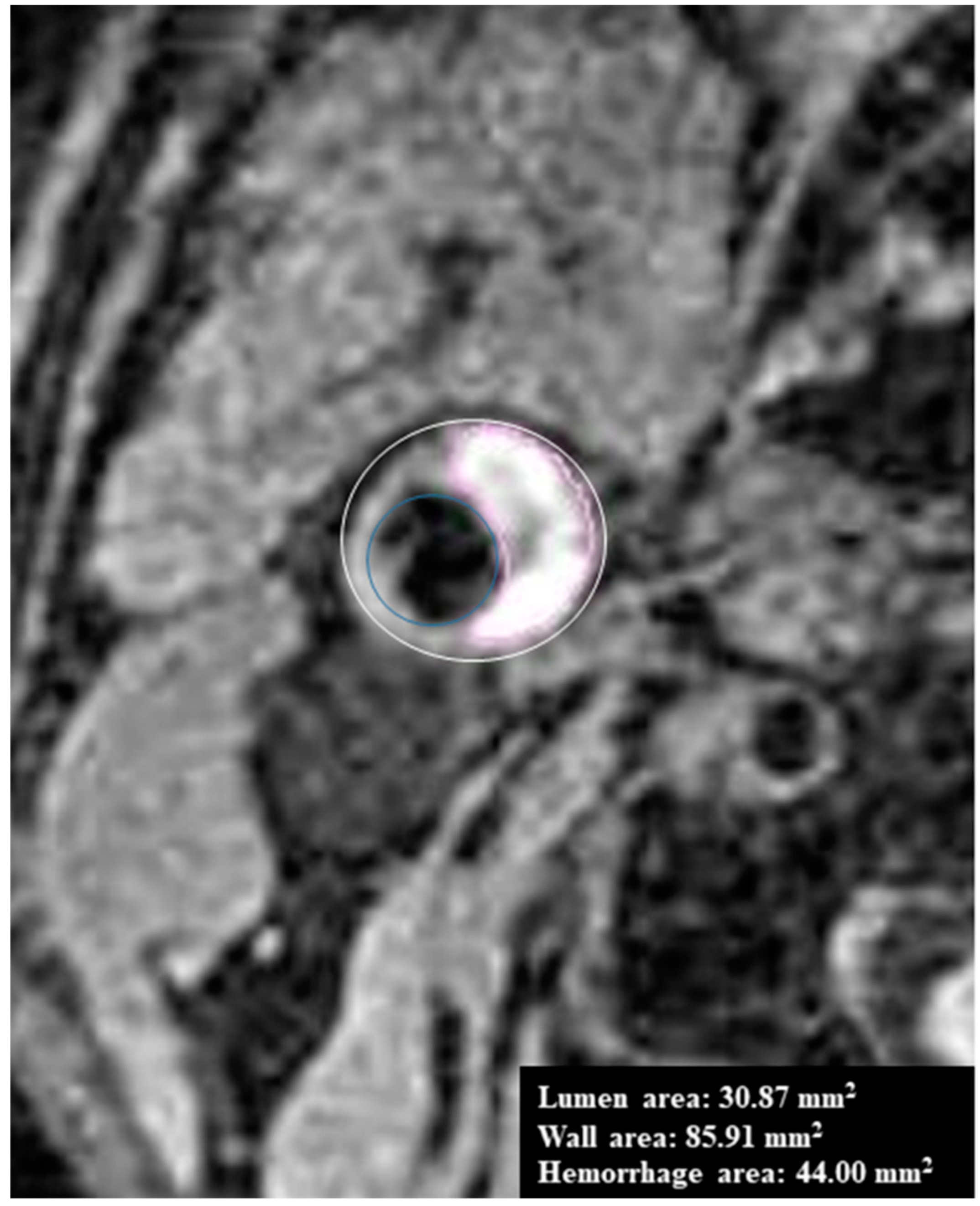 Diagnostics 09 00184 g001 Diagnostics 09 00184 g001