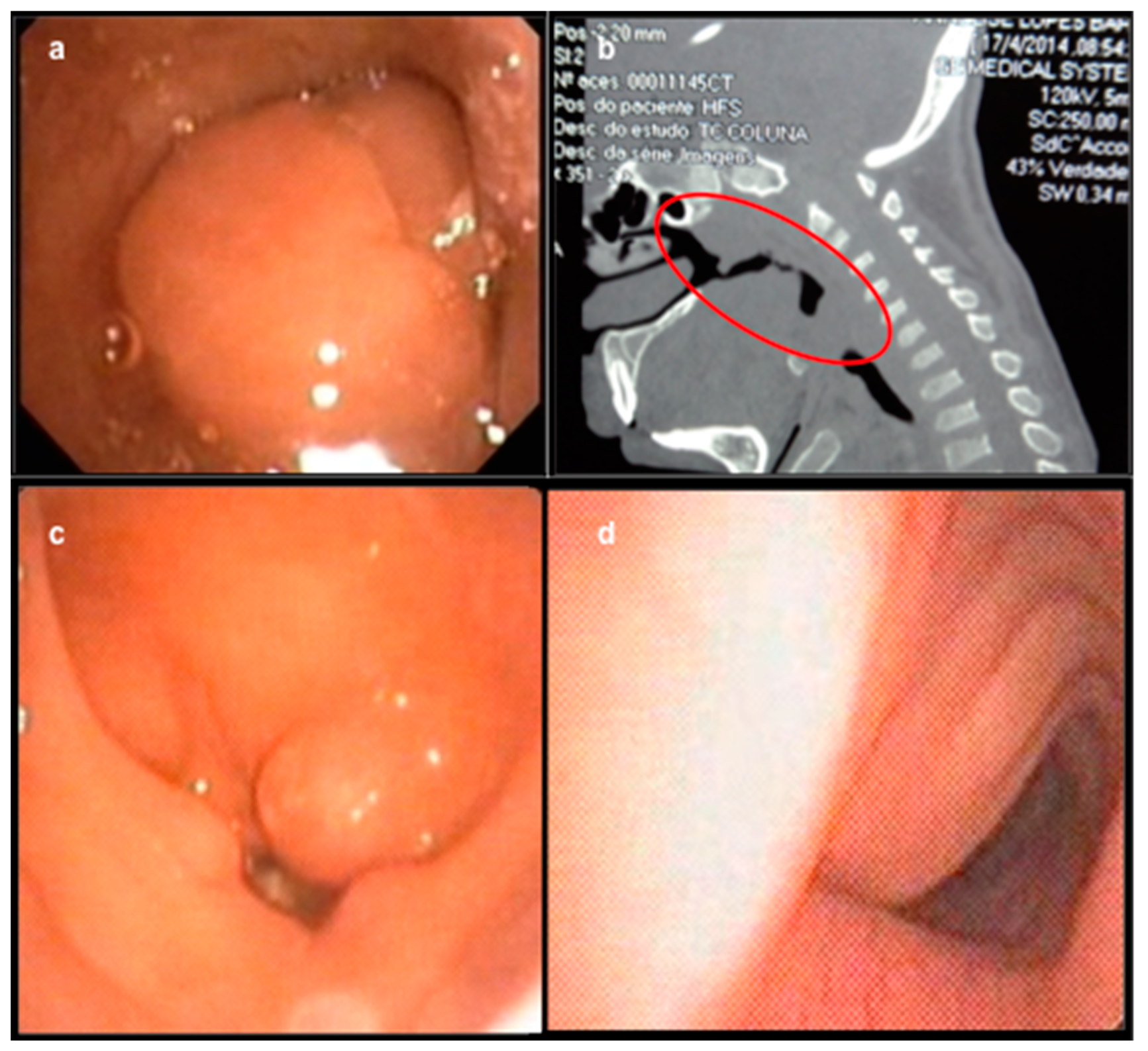 Diagnostics 09 00187 g001